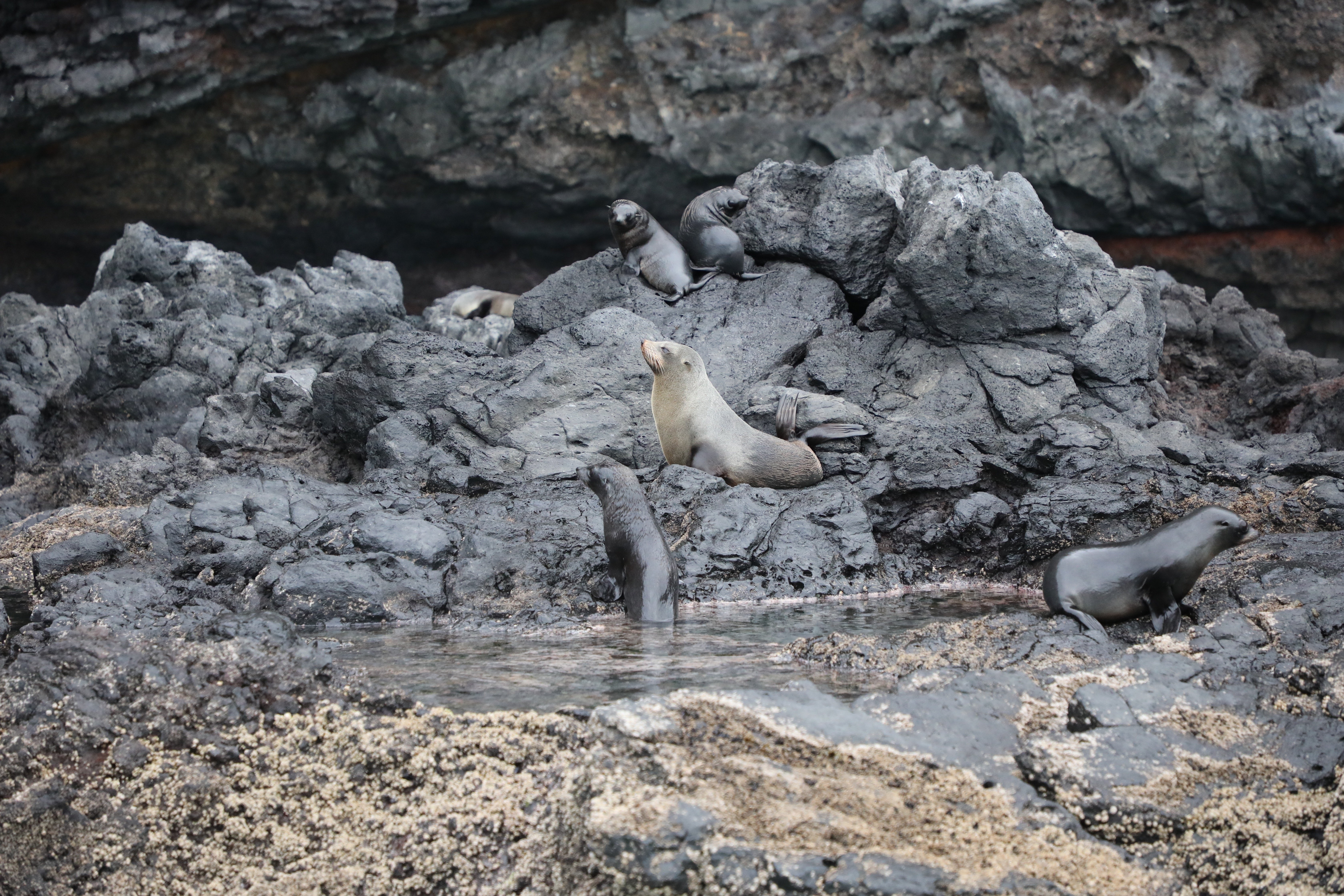 South Island tour photo — image 3