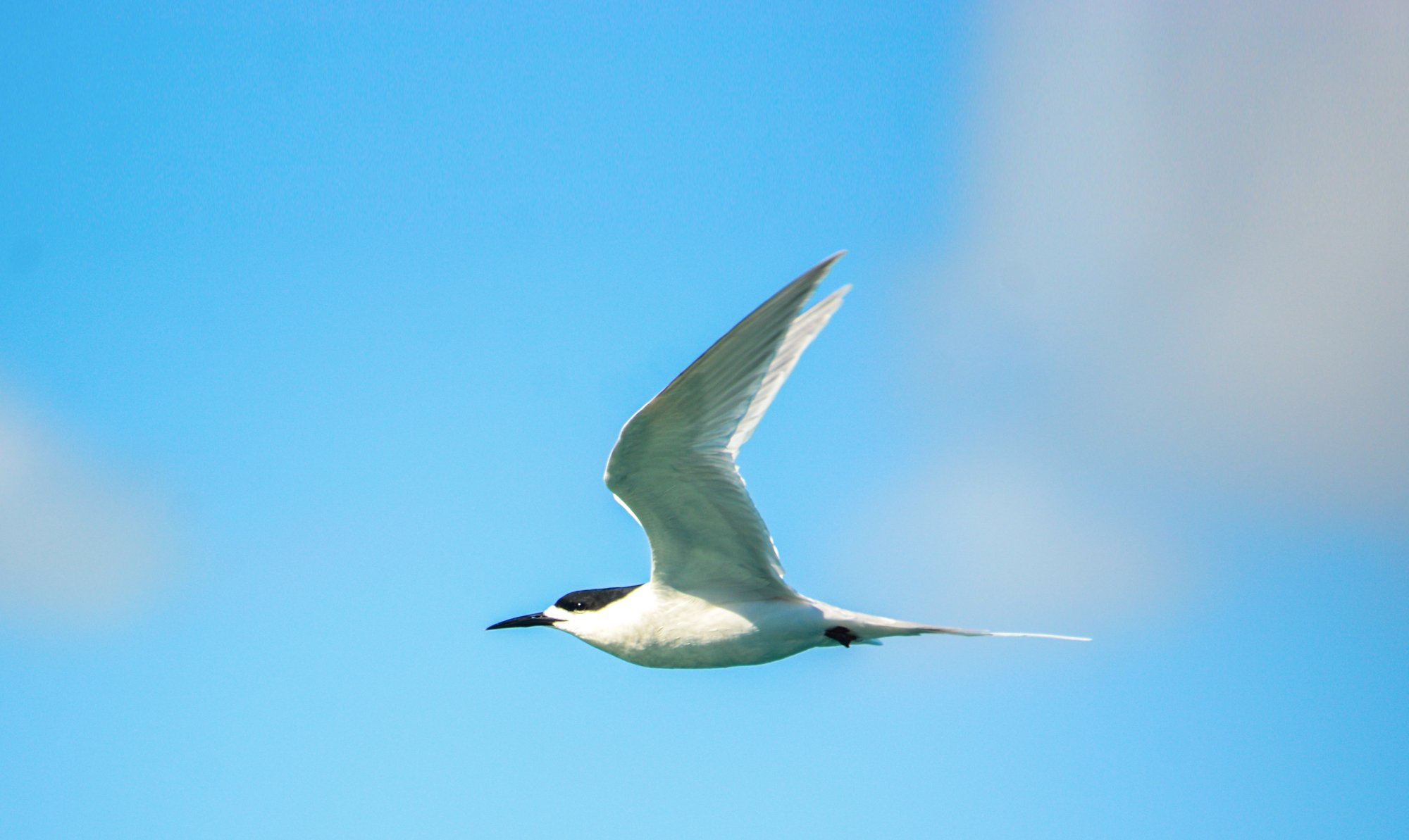 South Island tour photo — image 13