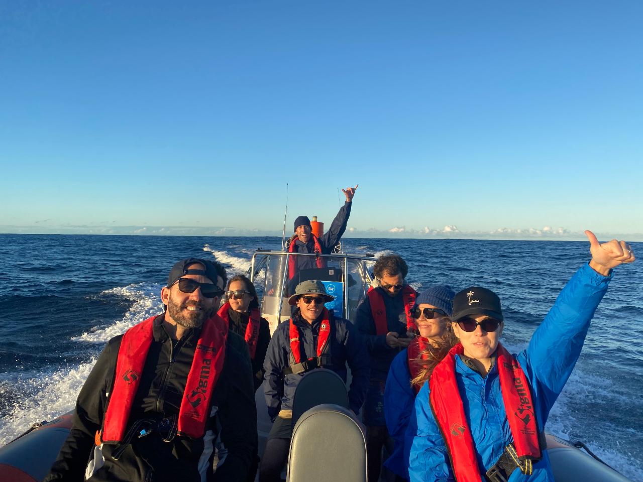 Gold Coast: Whale Watching