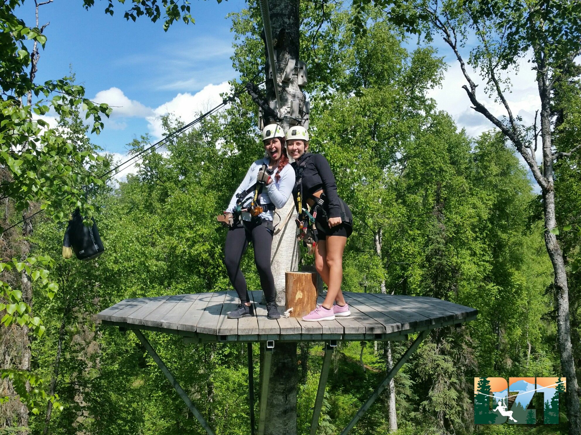 Talkeetna: Denali Zipline Tours