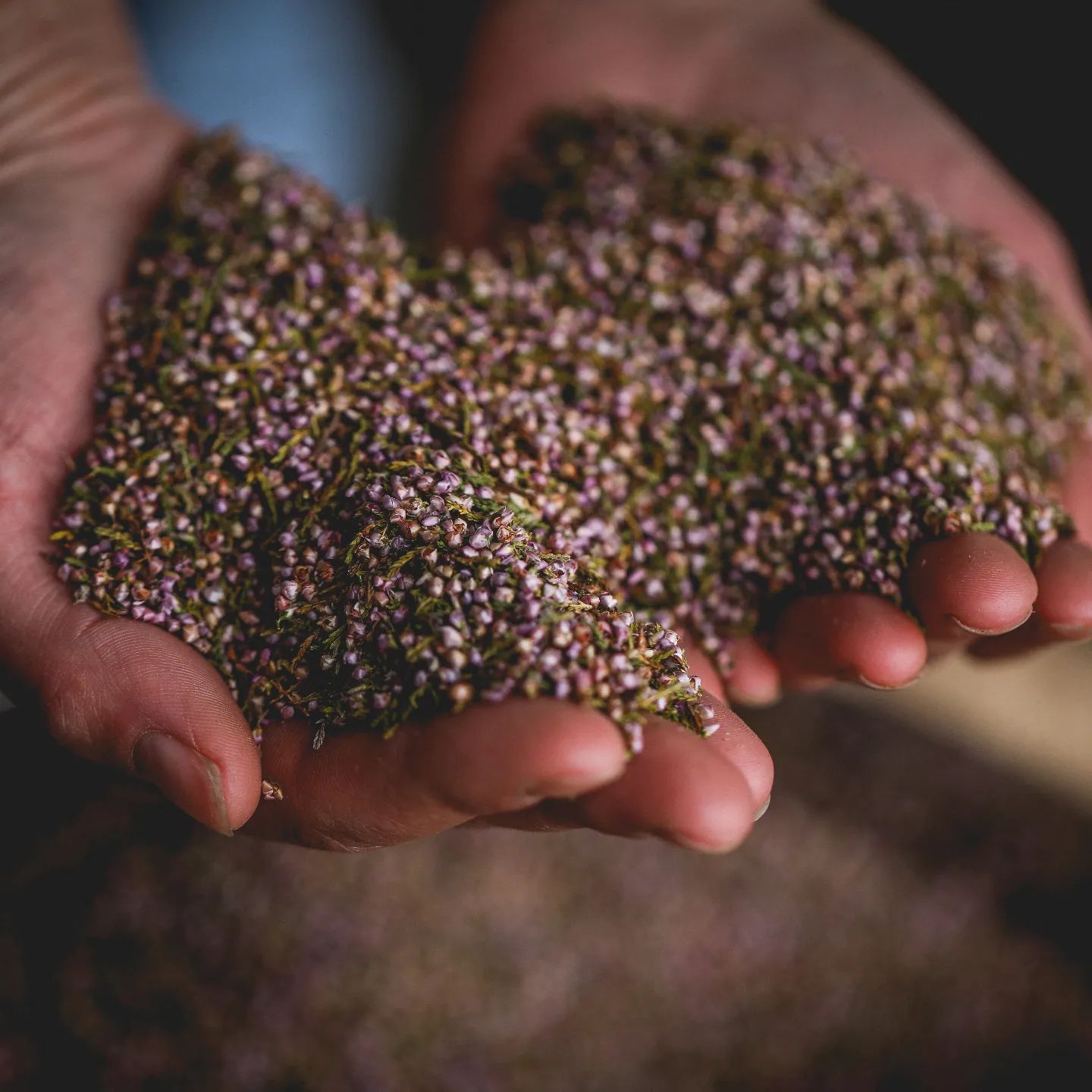 Whitby Distillery Experience: Guided Tour & Gin Tasting