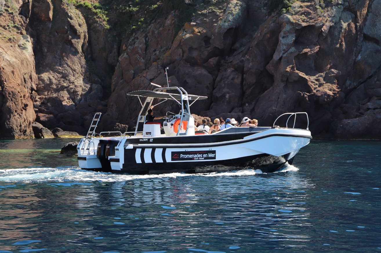 Scandola Nature Reserve Boat Excursion from Calvi