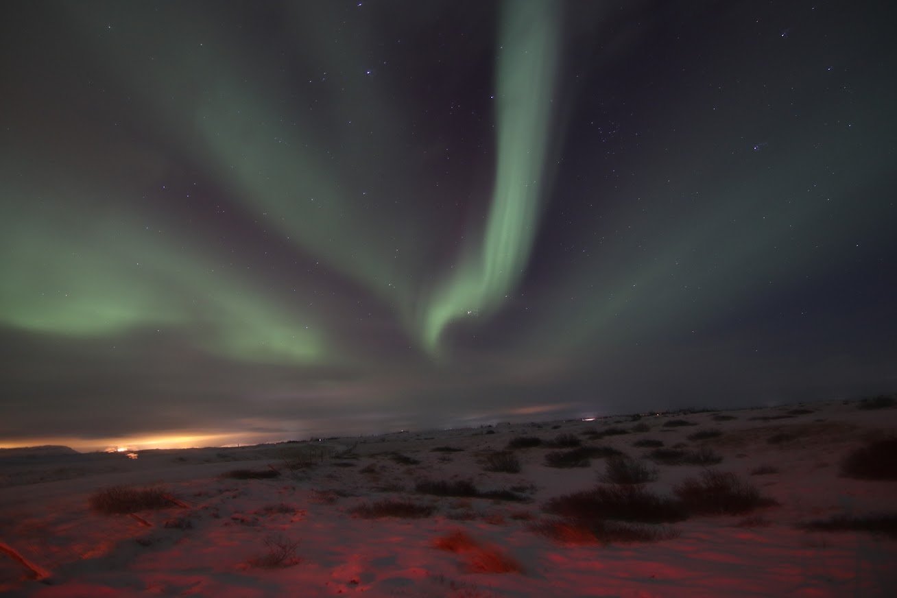 Reykjavik Northern Lights Minibus Hunt with Hot Cocoa