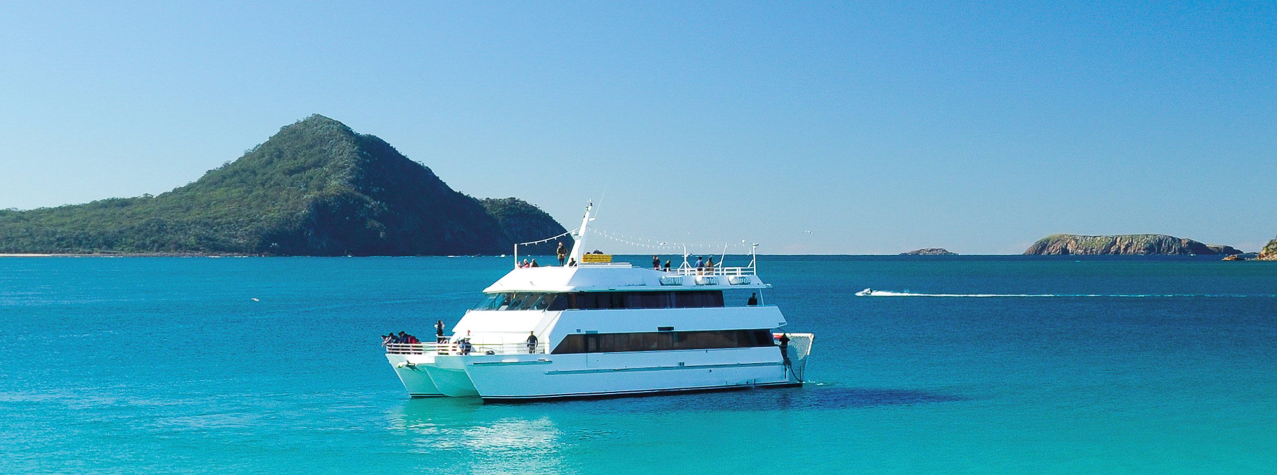 Port Stephens Day Trip: Dolphins, Koalas & Sandboarding from Sydney