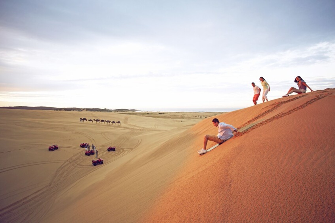 Port Stephens: Dolphin Cruise, Koalas & Sandboarding