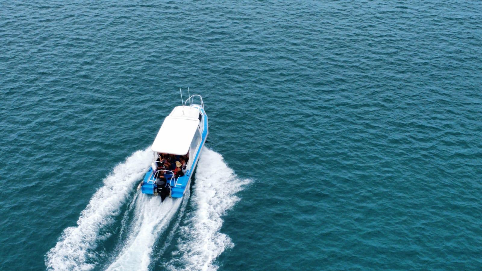 Amedee Island & Turtle Snorkeling Adventure