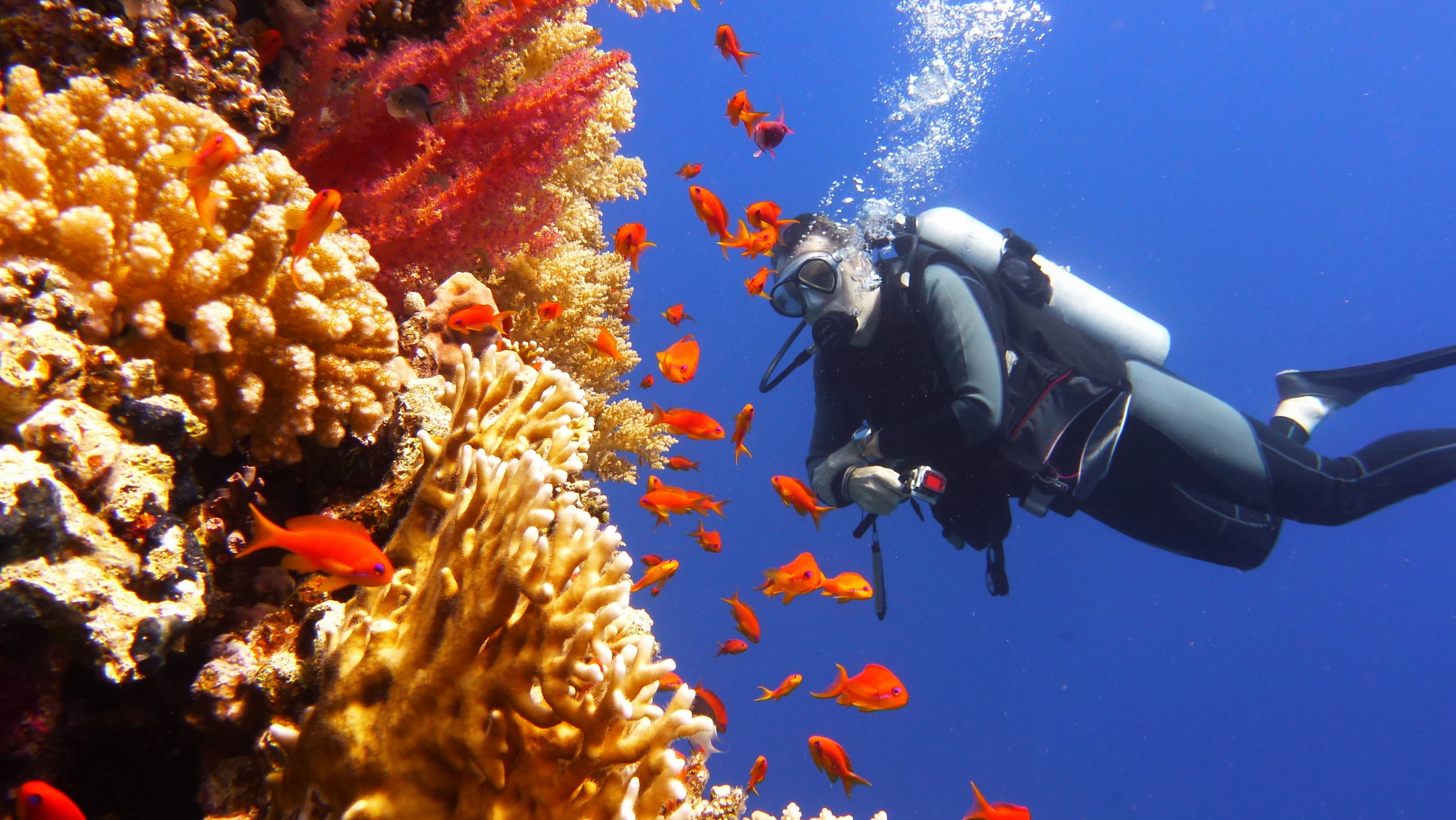 Phuket: Racha & Maiton Islands Scuba Diving for All Levels