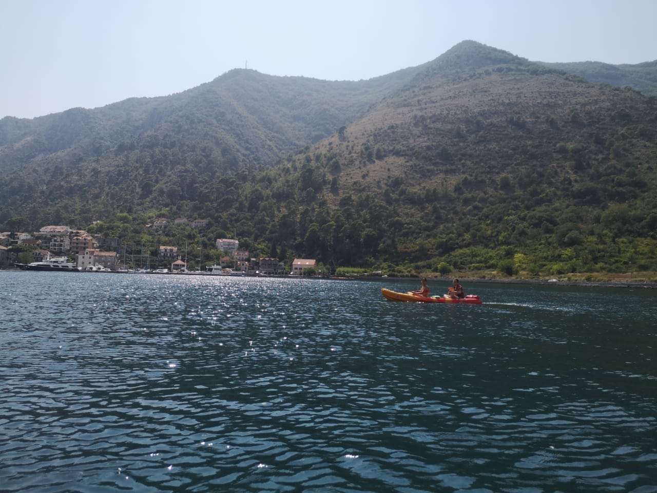 Kotor: Guided Kotor Bay Kayaking Tour - 2026 (Verified Reviews)