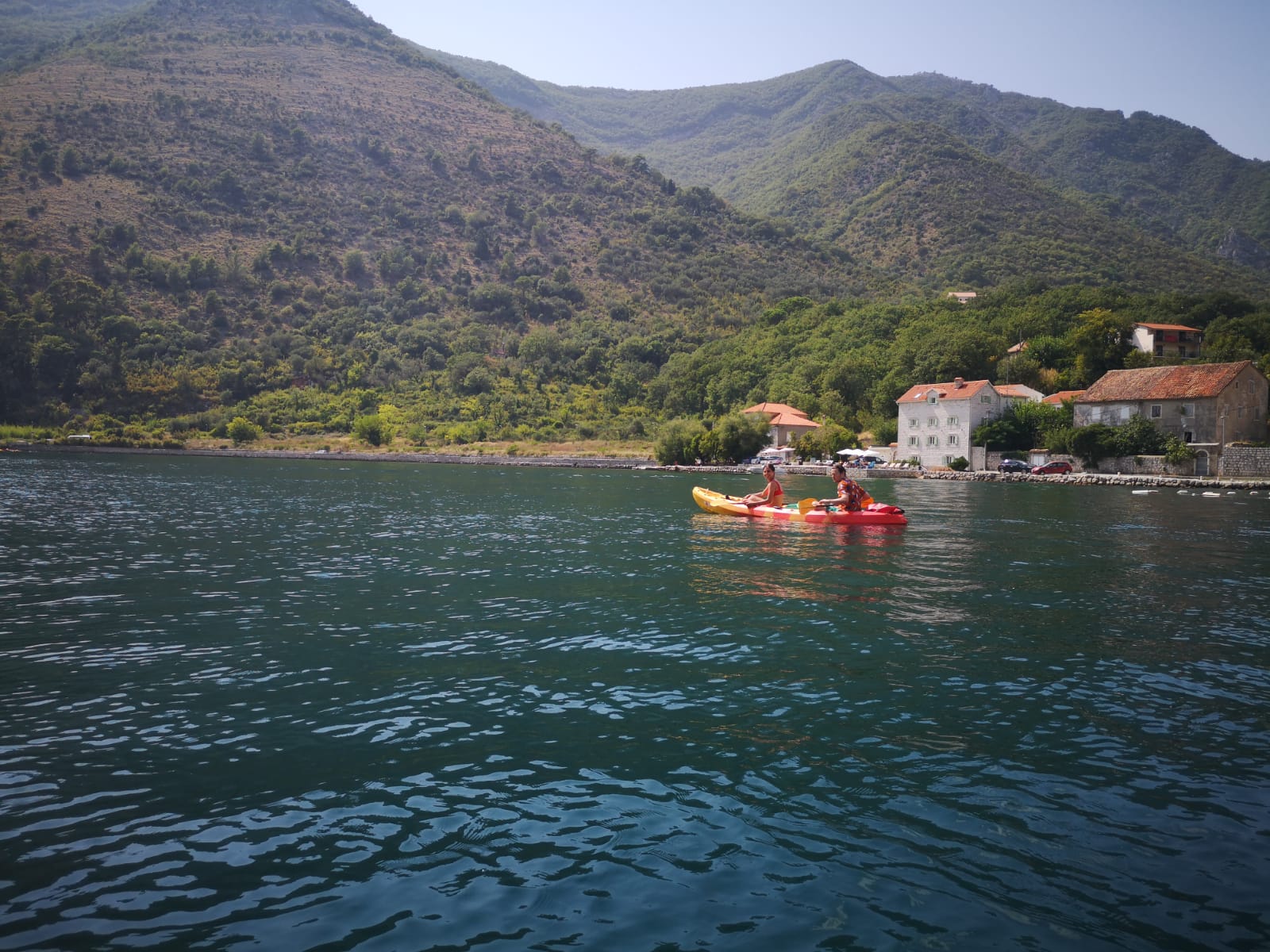 Kotor: Guided Kotor Bay Kayaking Tour - 2026 (Verified Reviews)