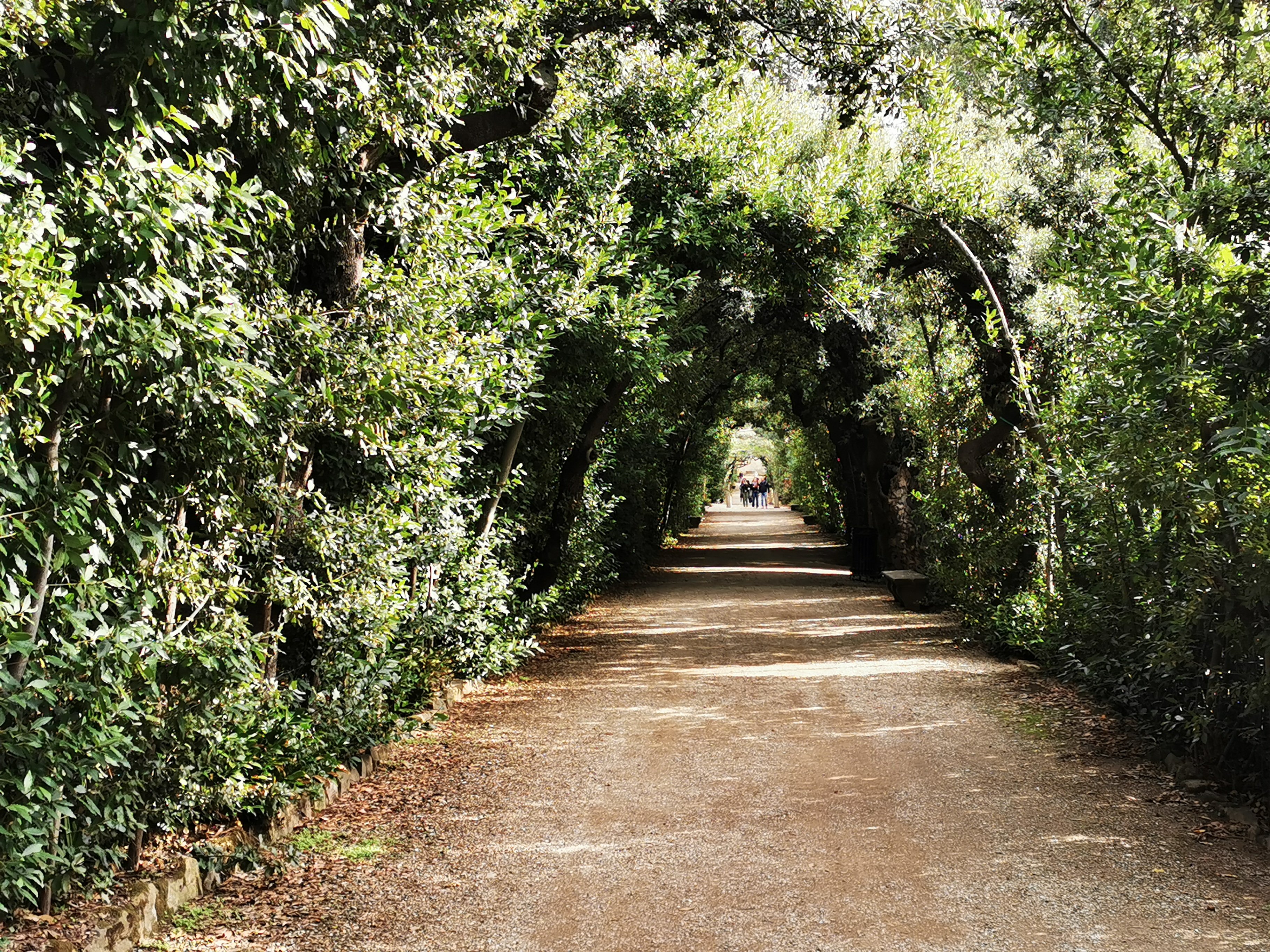 Florence: Pitti Palace, Palatine Gallery & Boboli Gardens Tour