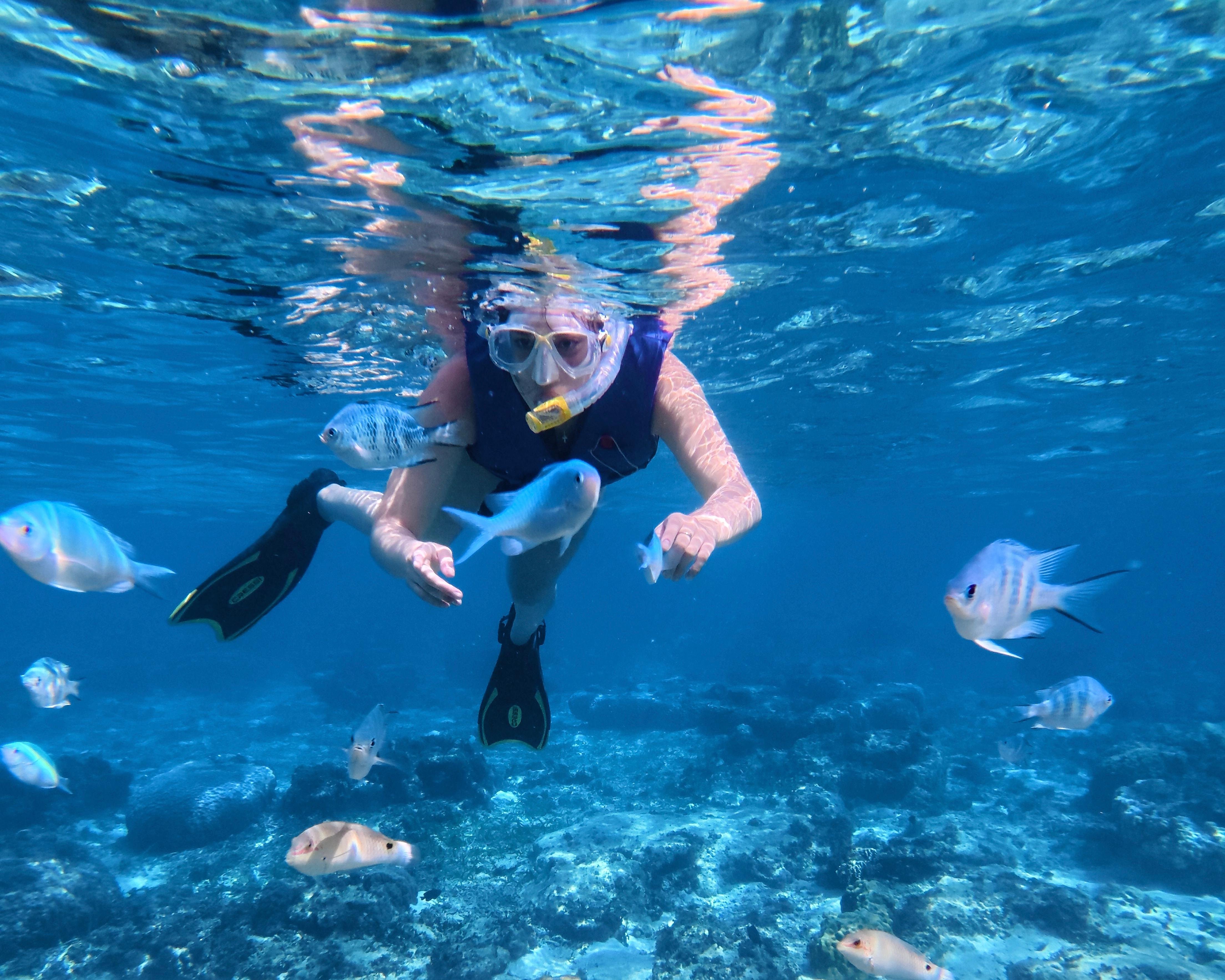 Blue Cave Okinawa snorkelling at Cape Maeda, Onna Village — image 23