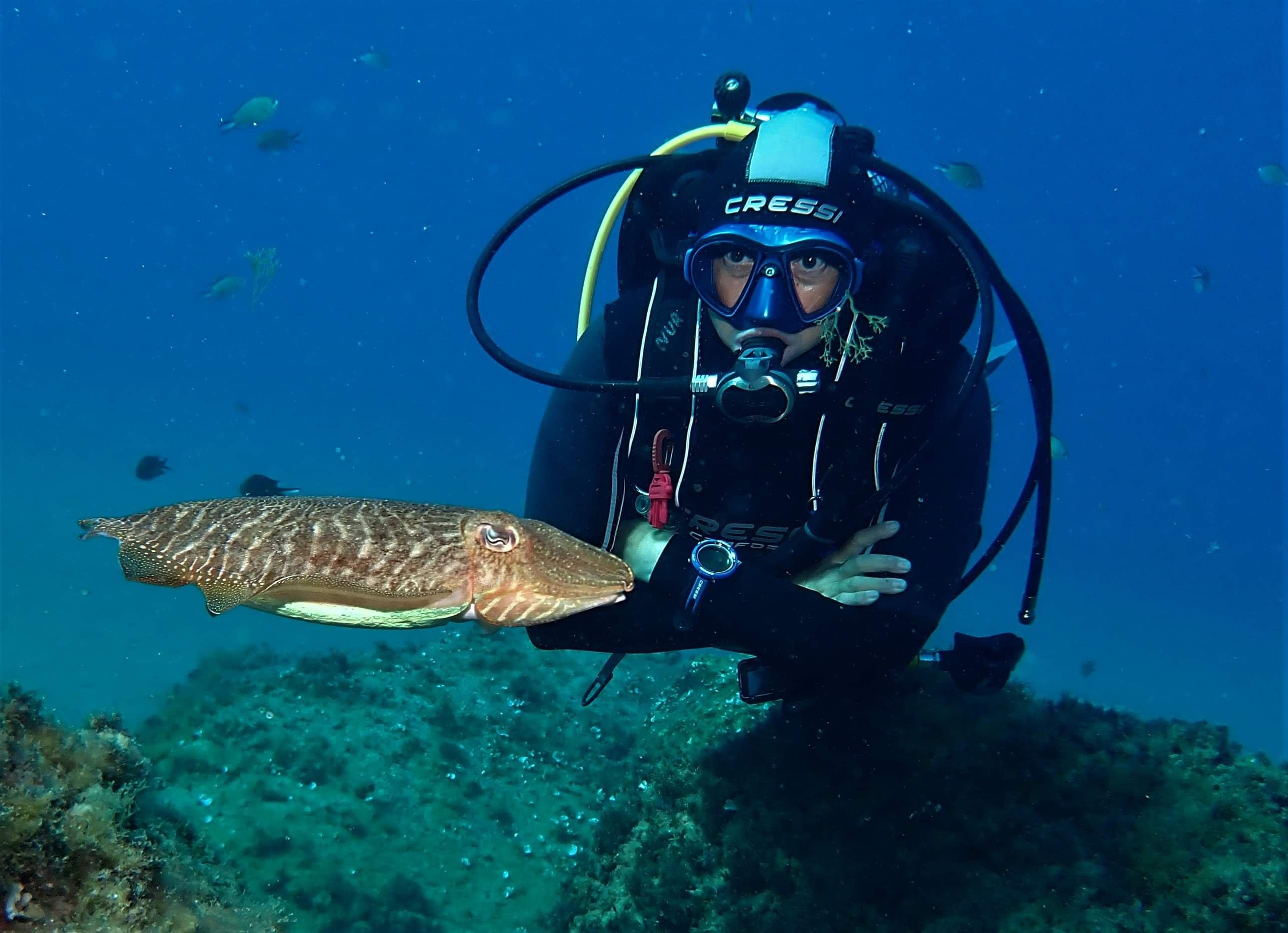 Two Beginner Scuba Dives at Playa Chica
