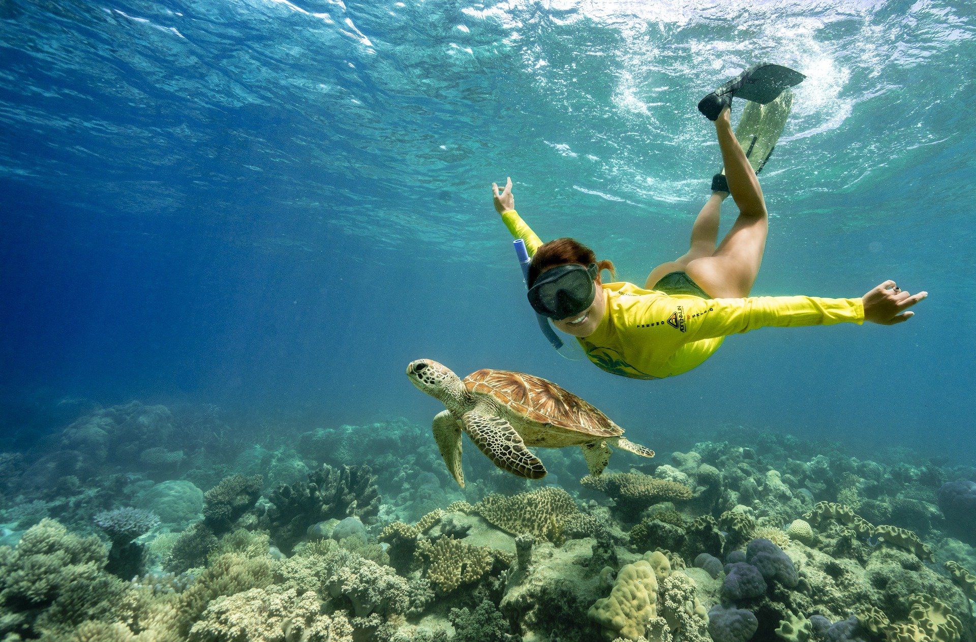 Cape Tribulation Ocean Safari – Great Barrier Reef Half-Day Snorkel