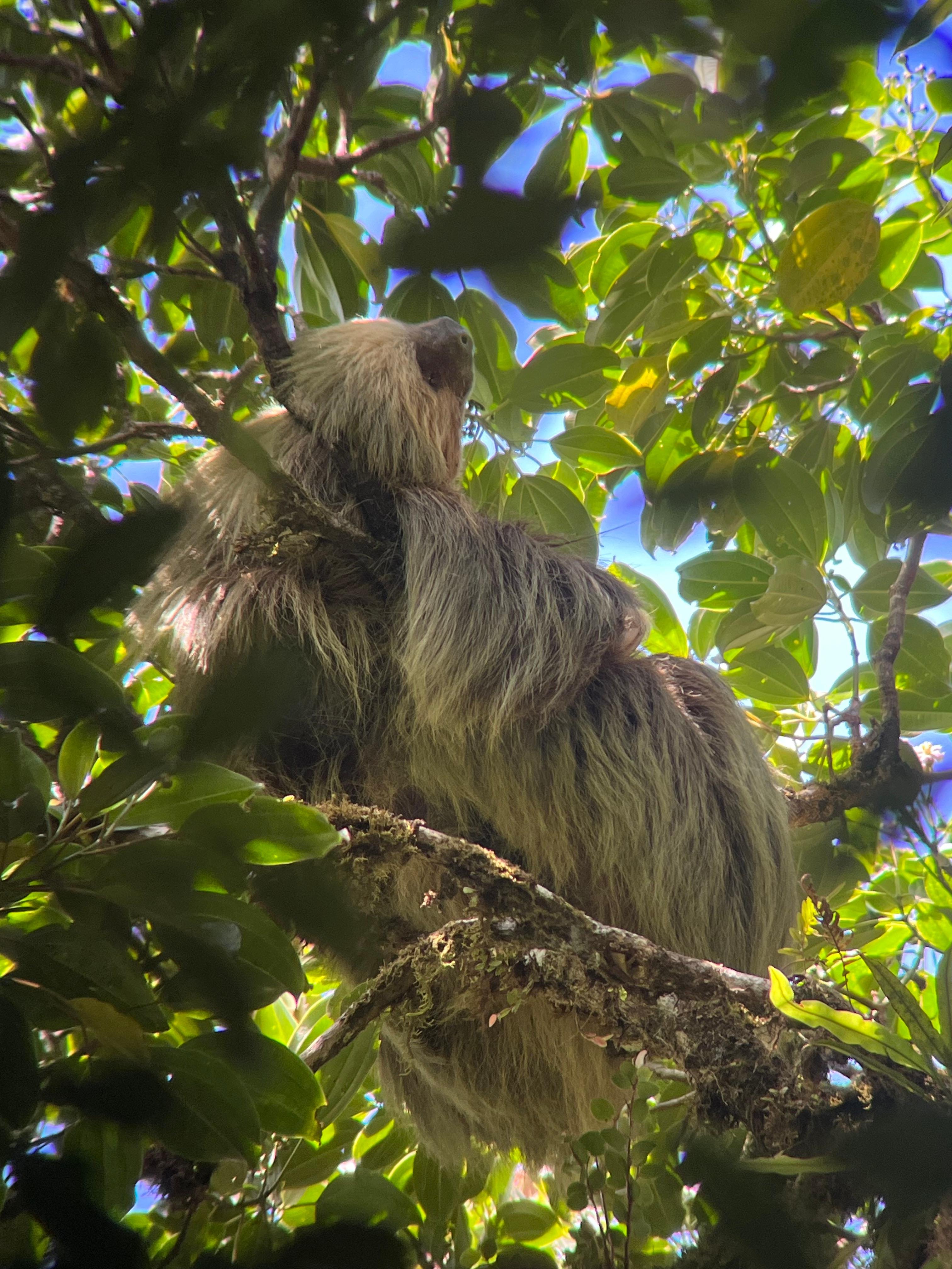 Monteverde Cloud Forest Small-Group Guided Hike