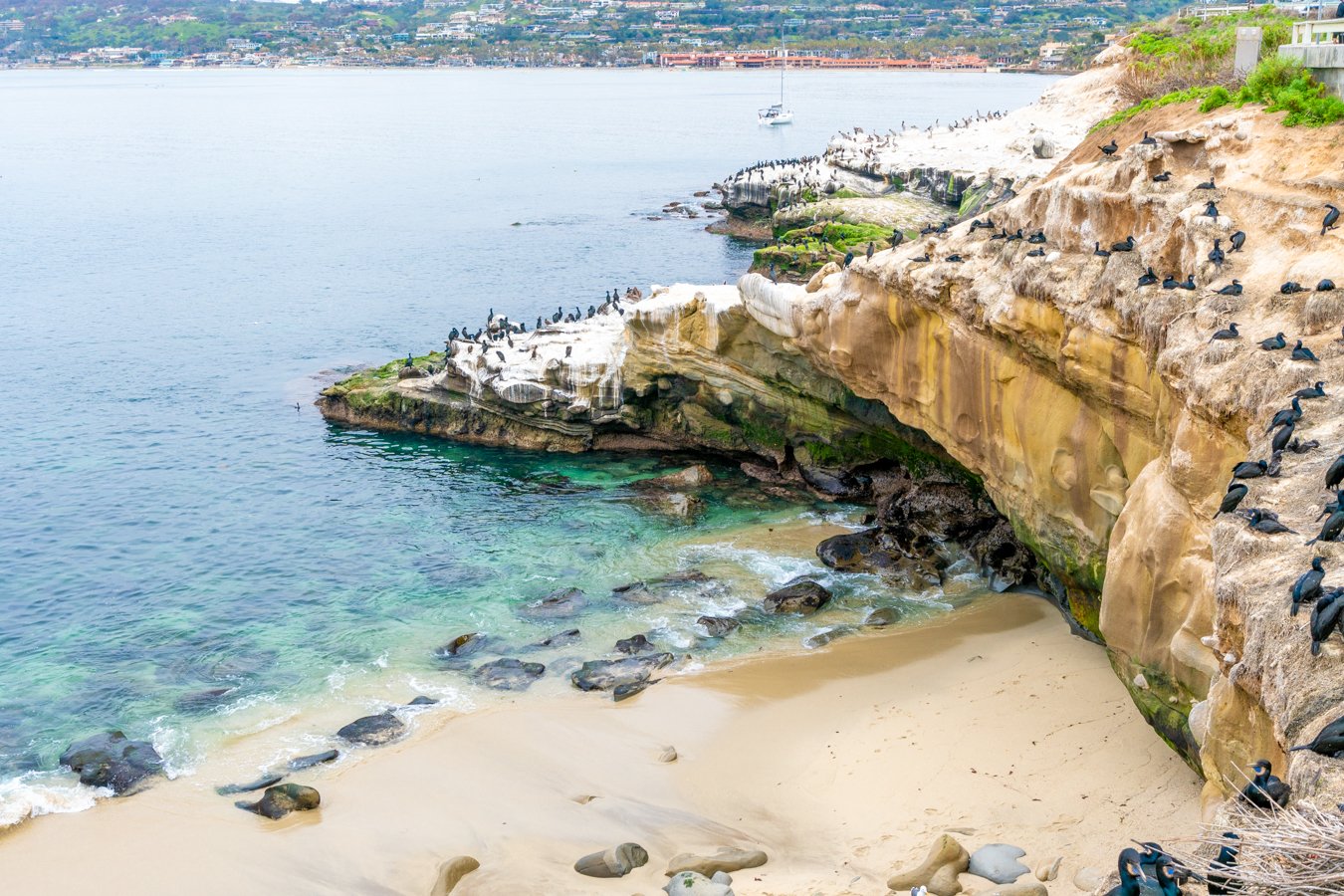 La Jolla Sip, Savor & Sea Walking Tour