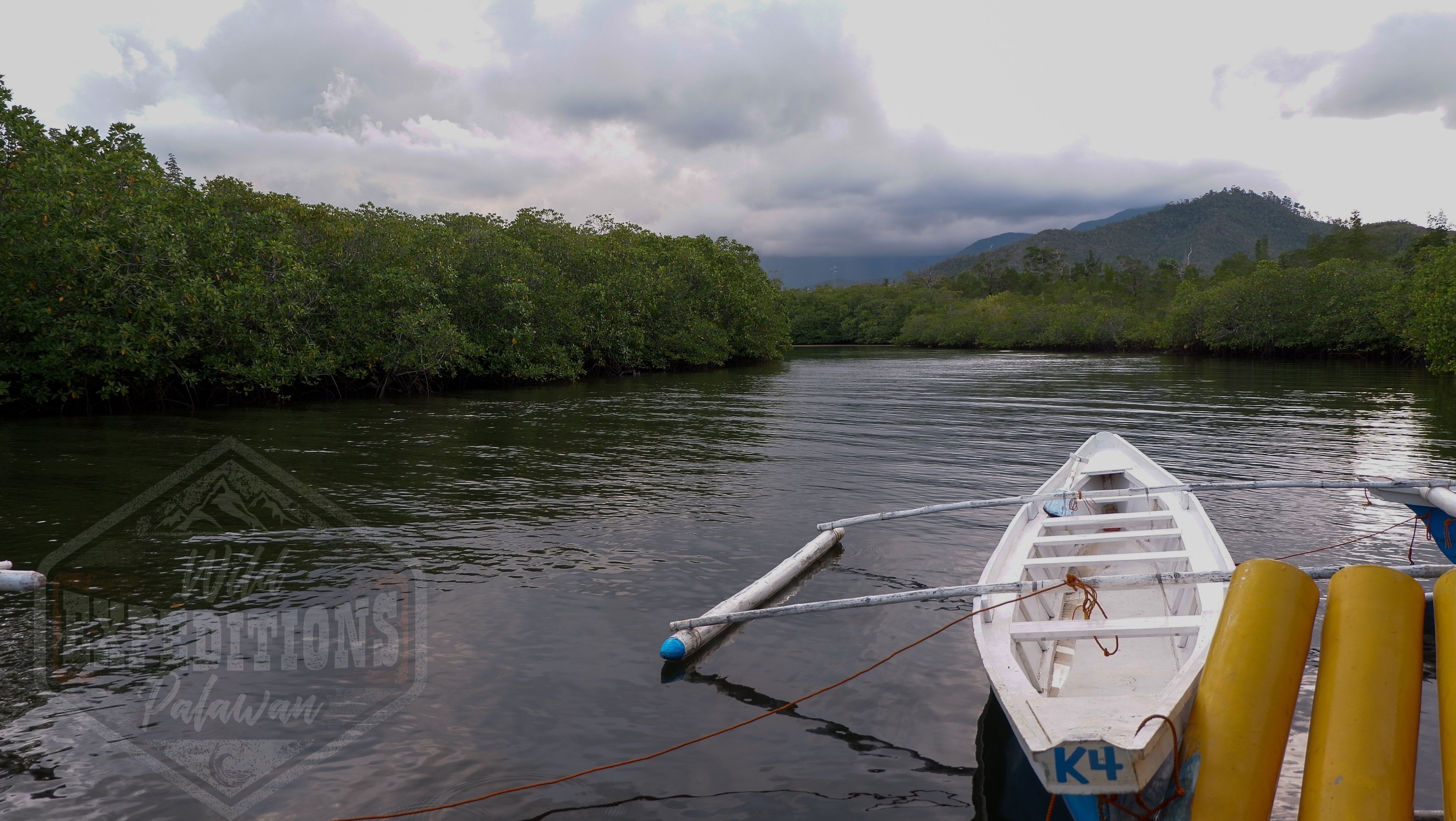 Puerto Princesa Evening Firefly Cruise & Dinner