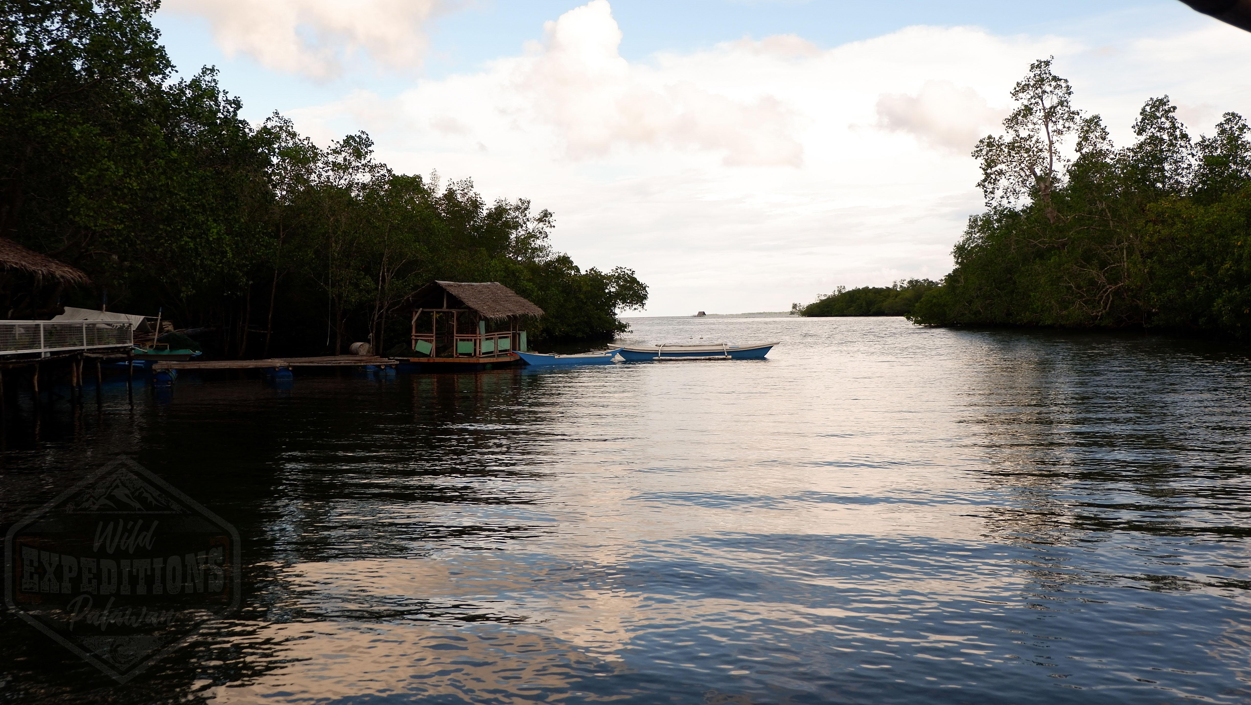 Puerto Princesa Evening Firefly Cruise & Dinner