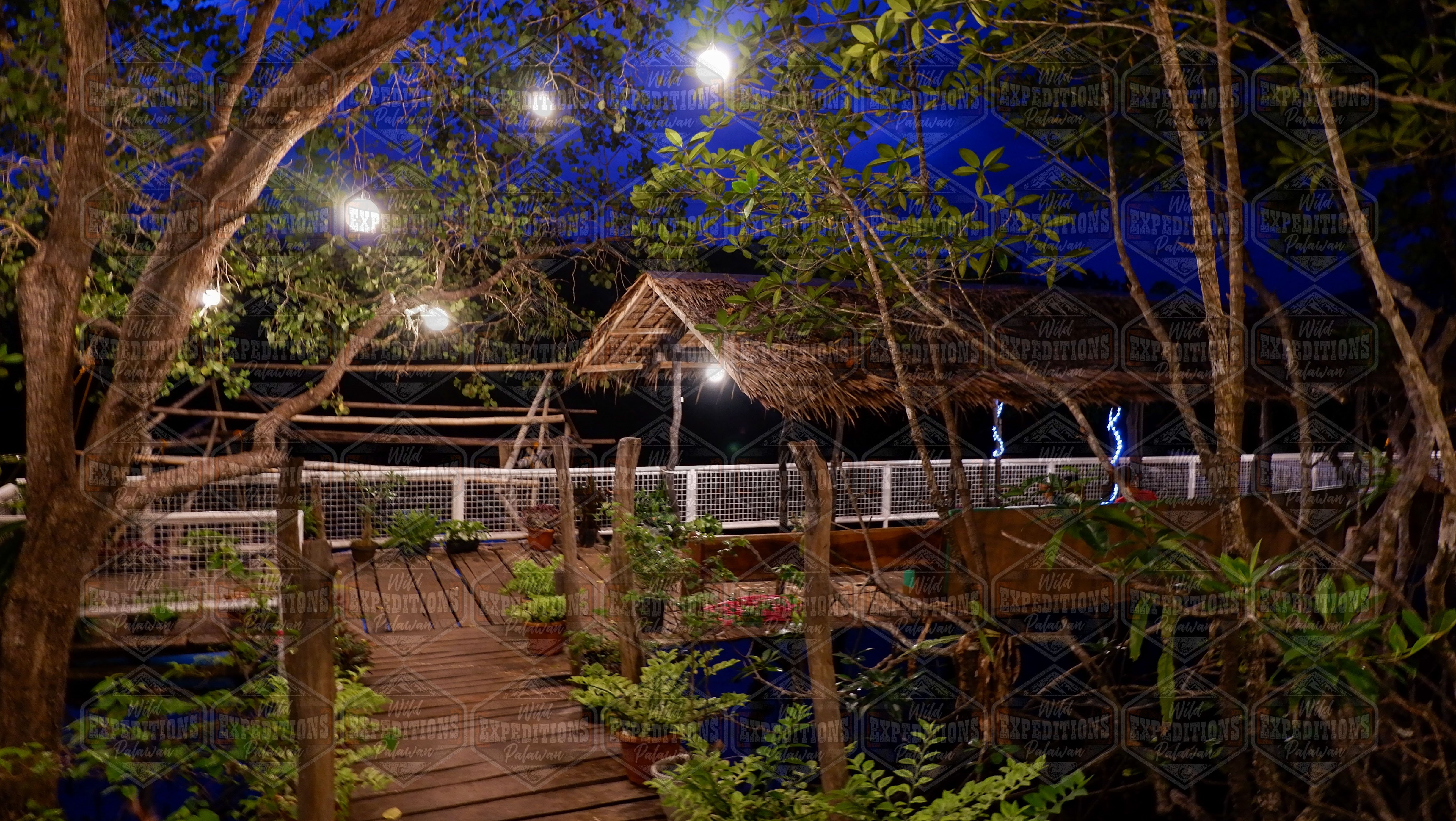 Puerto Princesa Evening Firefly Cruise & Dinner