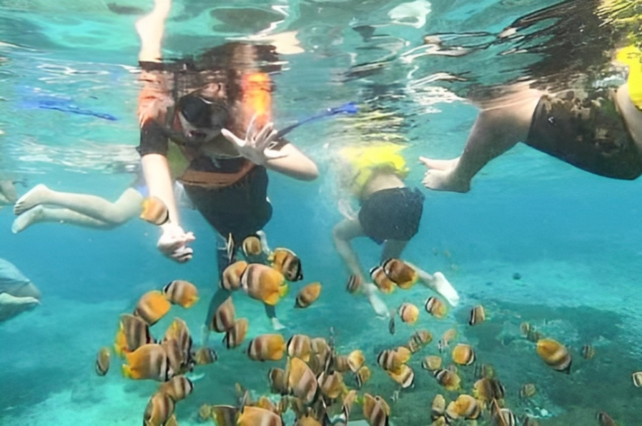 Bali Blue Lagoon Snorkeling Expedition with Local Lunch