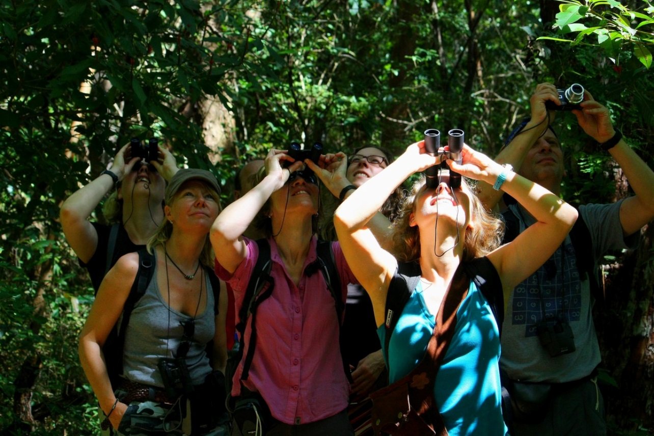 Arenal Volcano, Emerald Lake & Hot Springs Morning Tour