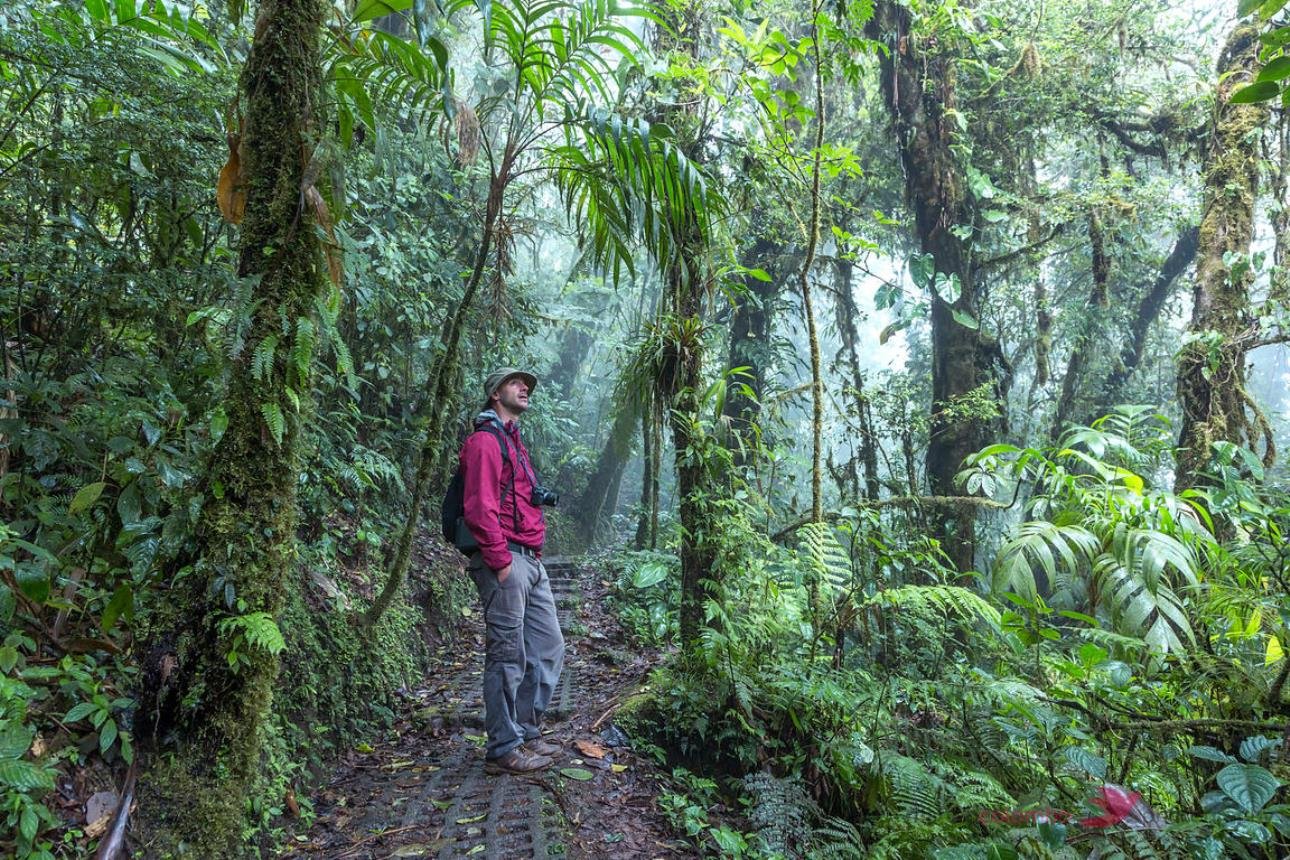 Arenal Volcano, Emerald Lake & Hot Springs Morning Tour