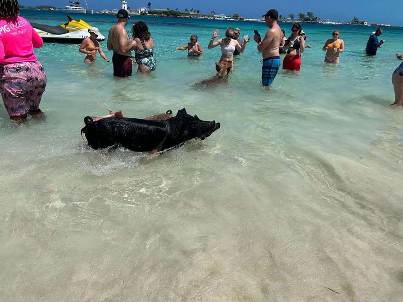 Nassau Catamaran Adventure: Swimming Pigs, Turtles & Snorkeling