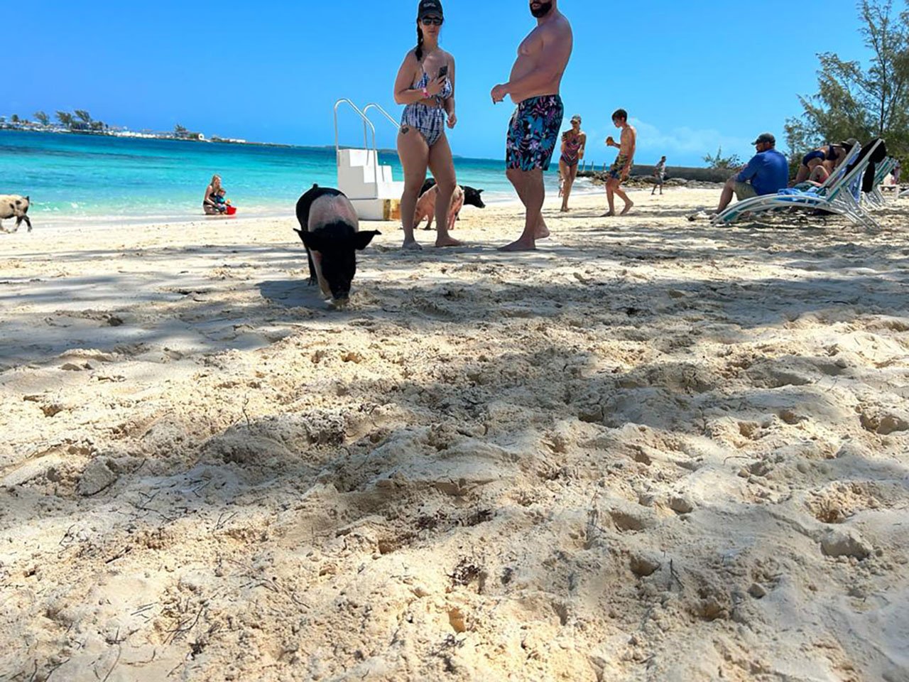 Nassau Catamaran Adventure: Swimming Pigs, Turtles & Snorkeling