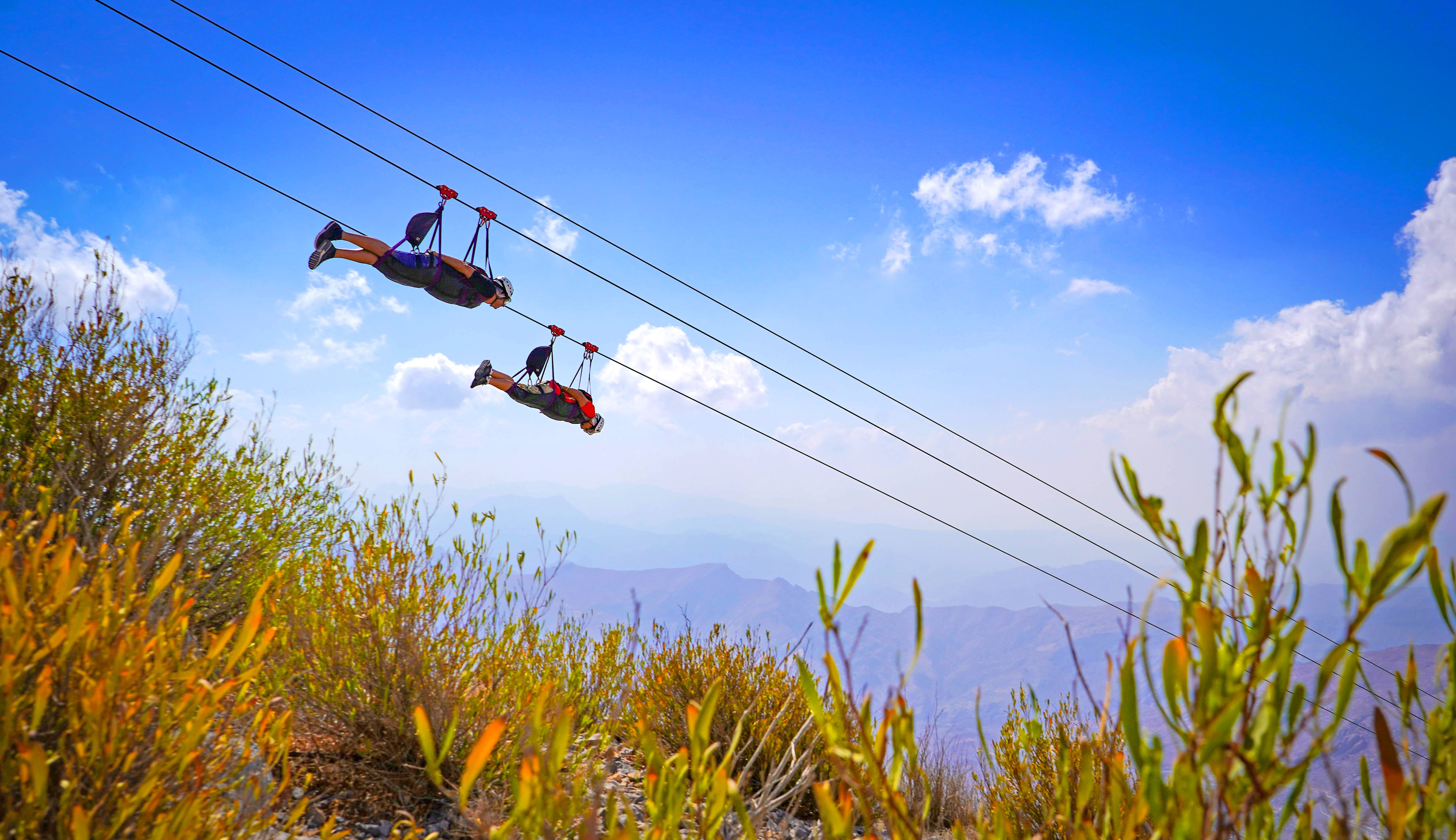 Jais Flight Zipline Ticket, Ras Al Khaimah