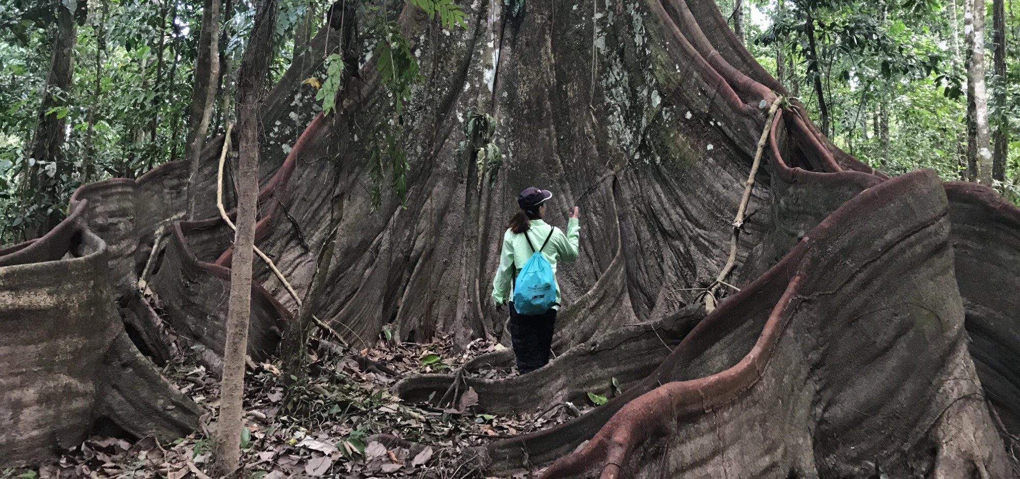 Leticia Amazon Jungle Adventure: 3-Day Puerto Nariño Experience