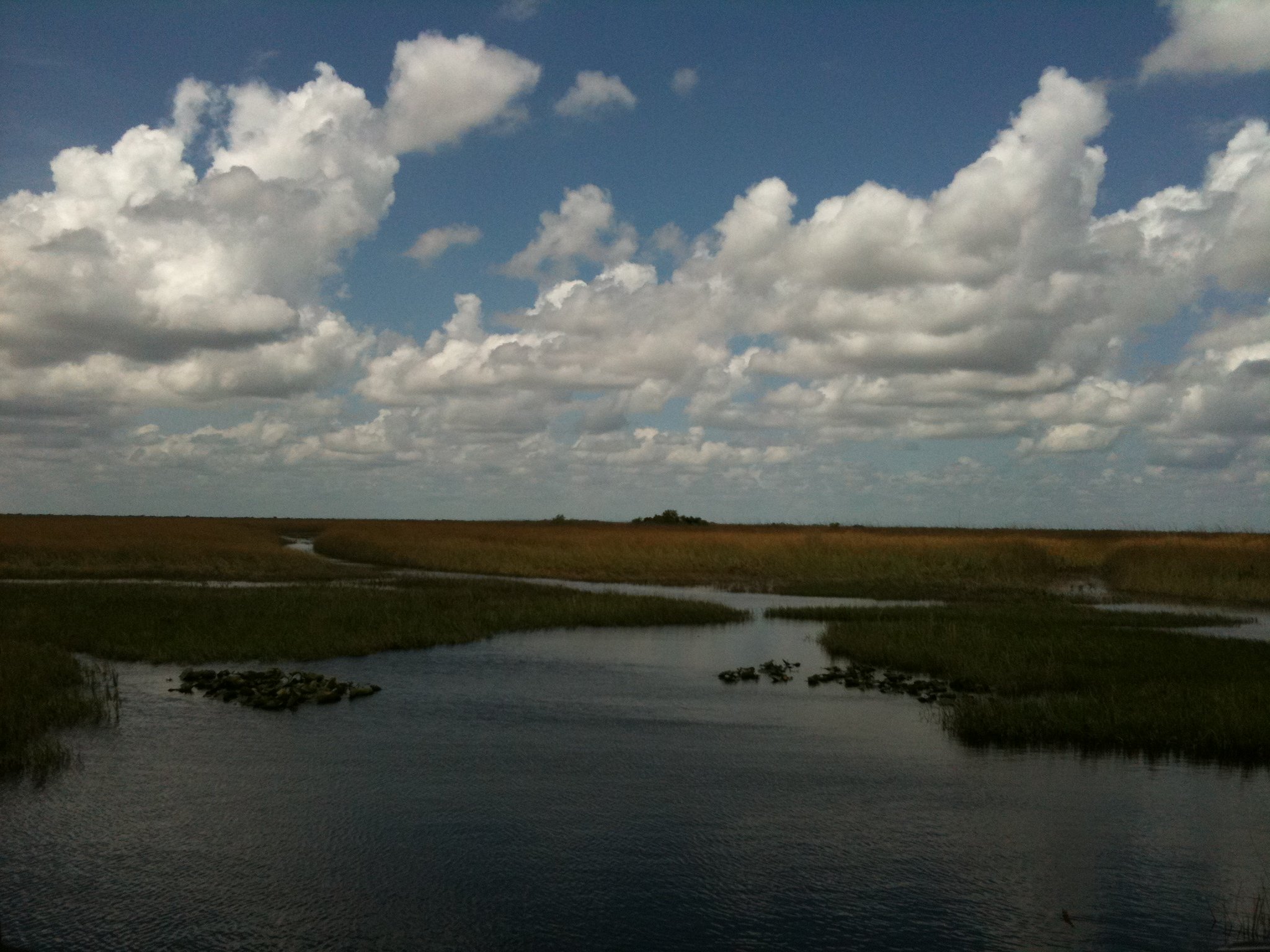 Miami: Original Everglades Airboat Tour & Interpretive area - 2026 (Verified Reviews)