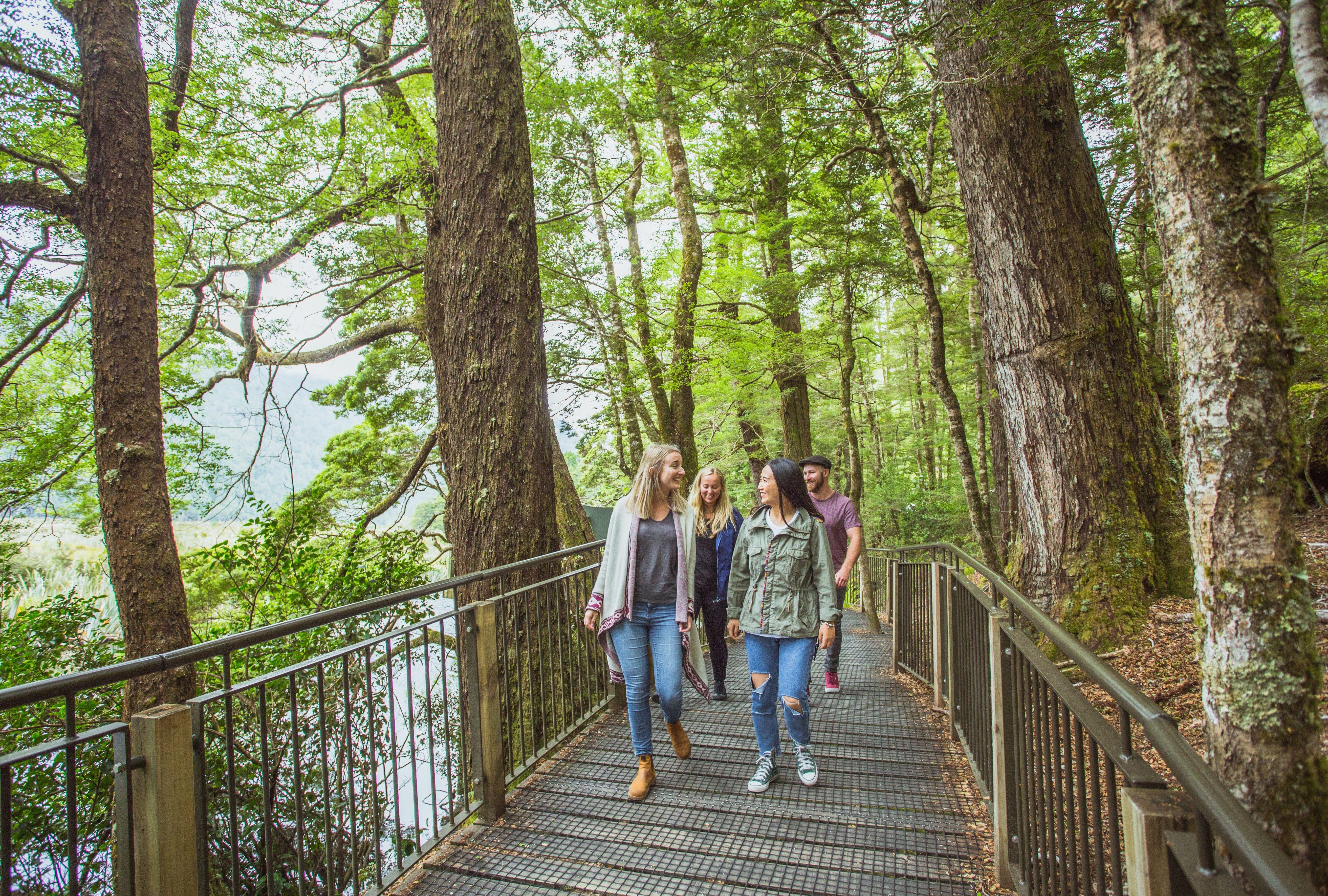 Queenstown to Milford Sound: Full-Day Coach & Cruise
