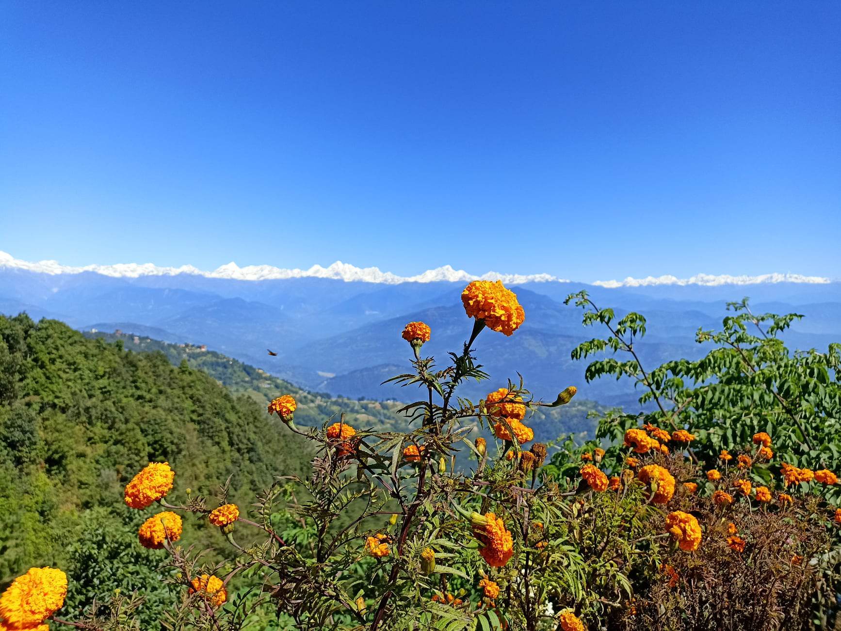Everest Panorama & Changu Narayan Cultural Trek