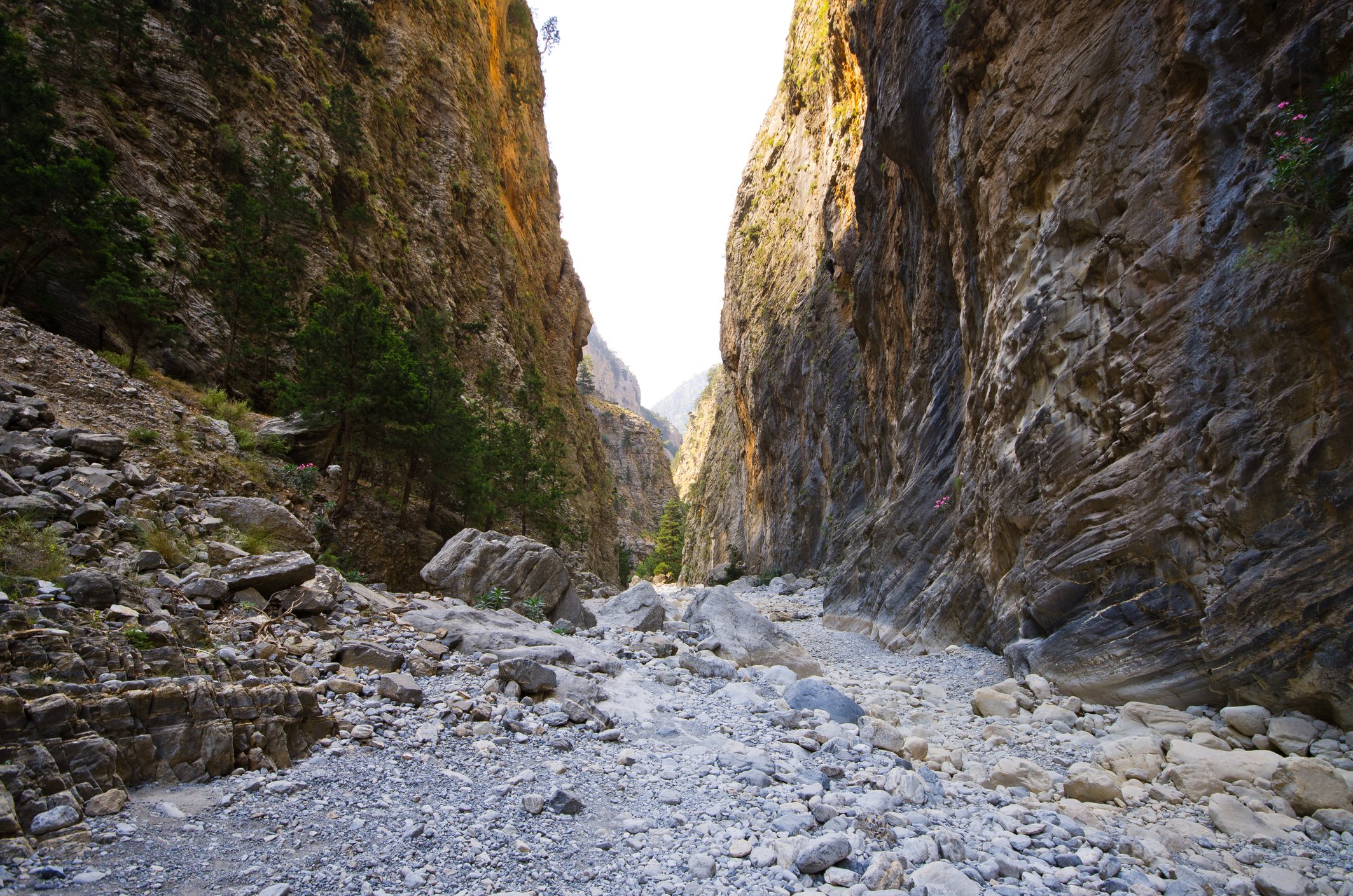 From Chania/Rethymno: Samariá Gorge Guided Hike with Pickup - 2026 (Verified Reviews)