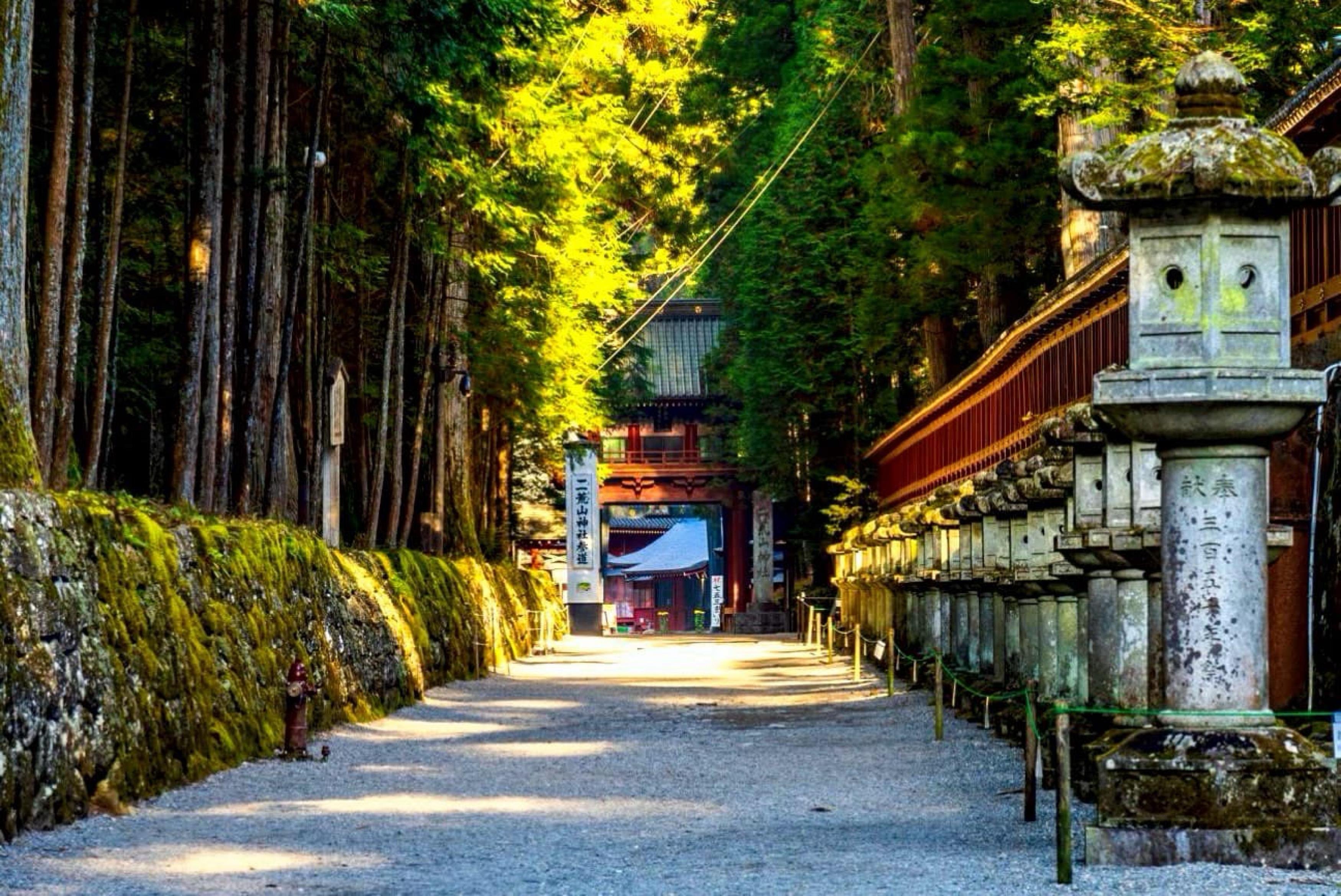 Nikko Photography Day Tour from Tokyo – Private & Customizable