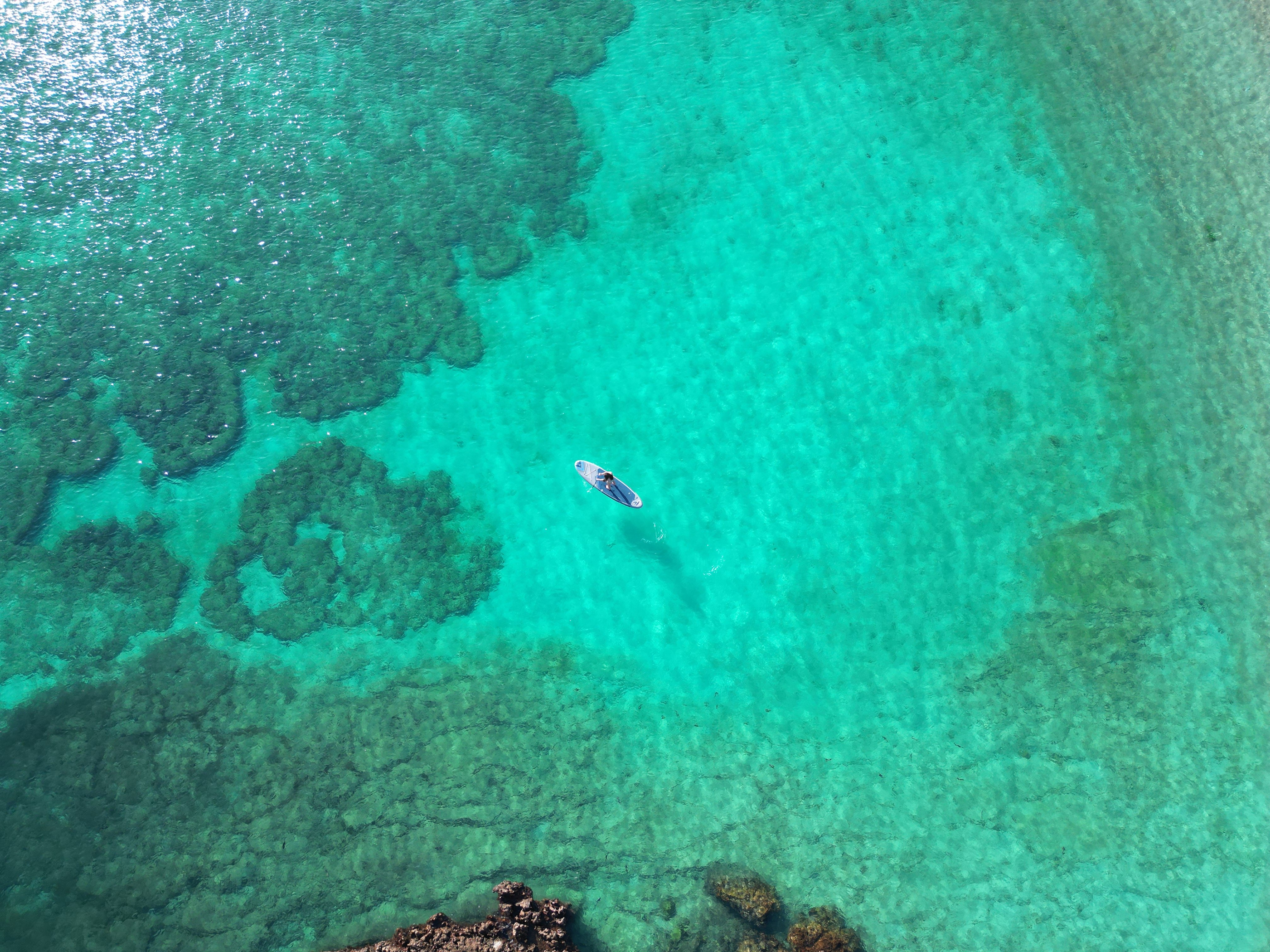 Daymaniyat Islands Snorkeling Adventure with Underwater Camera