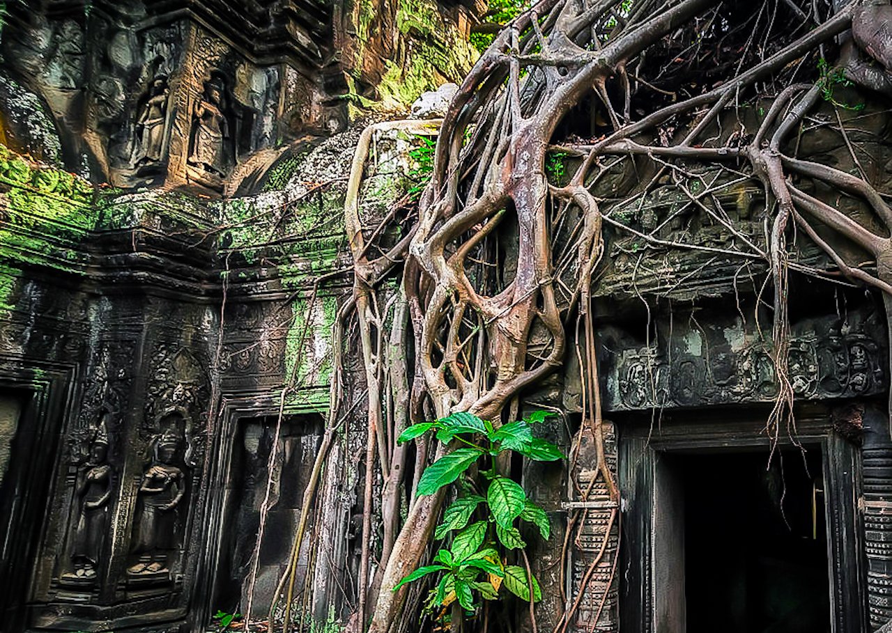 Siem Reap: Full-Day Angkor Wat Exploration & Sunset