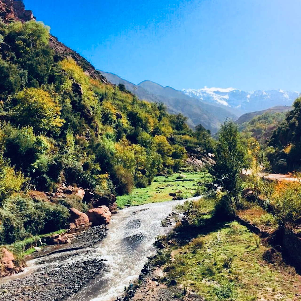 Atlas Mountains & Berber Villages Day Trip