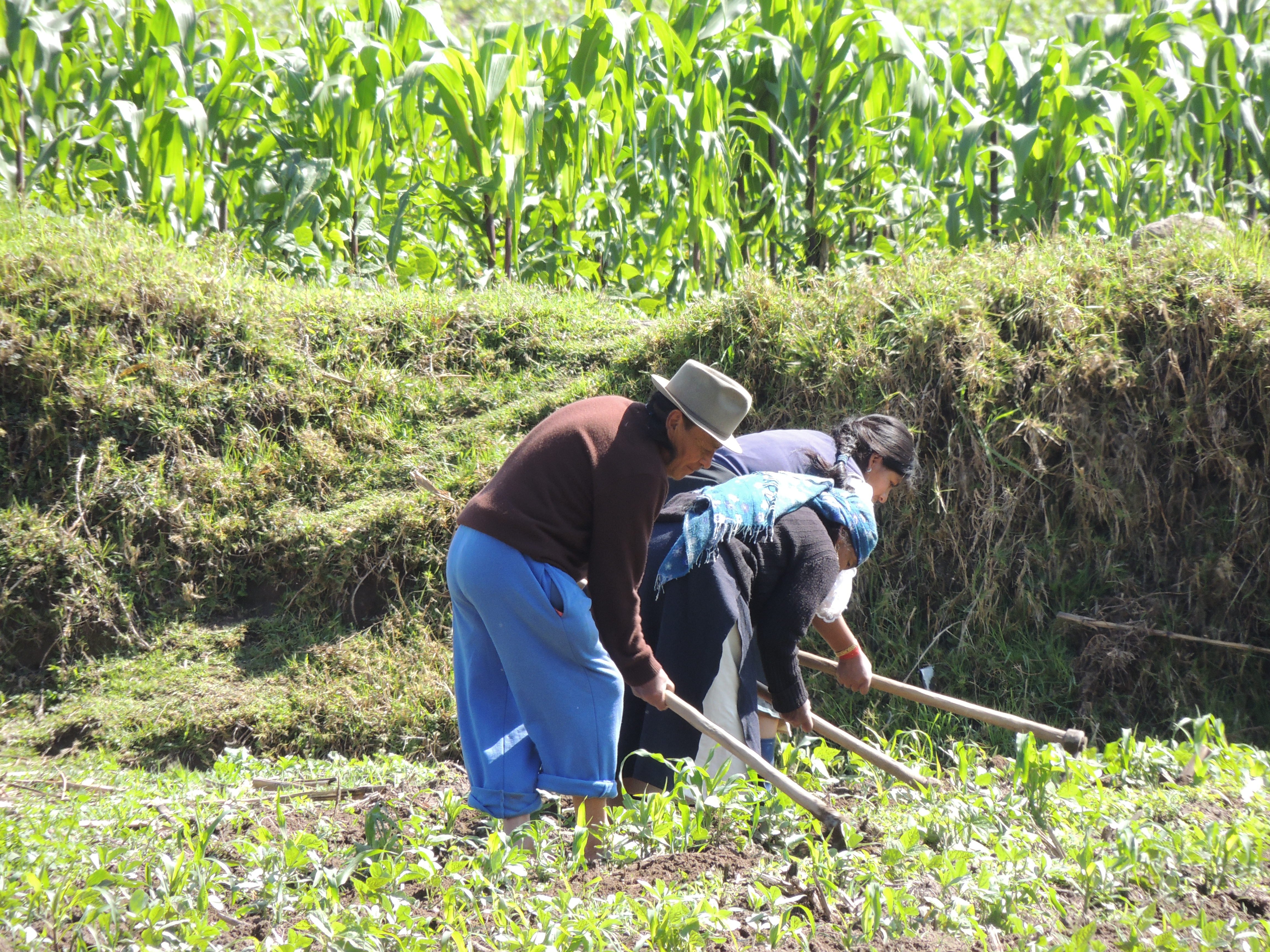 Quito to Otavalo: Markets, Lakes & Andean Villages Day Tour