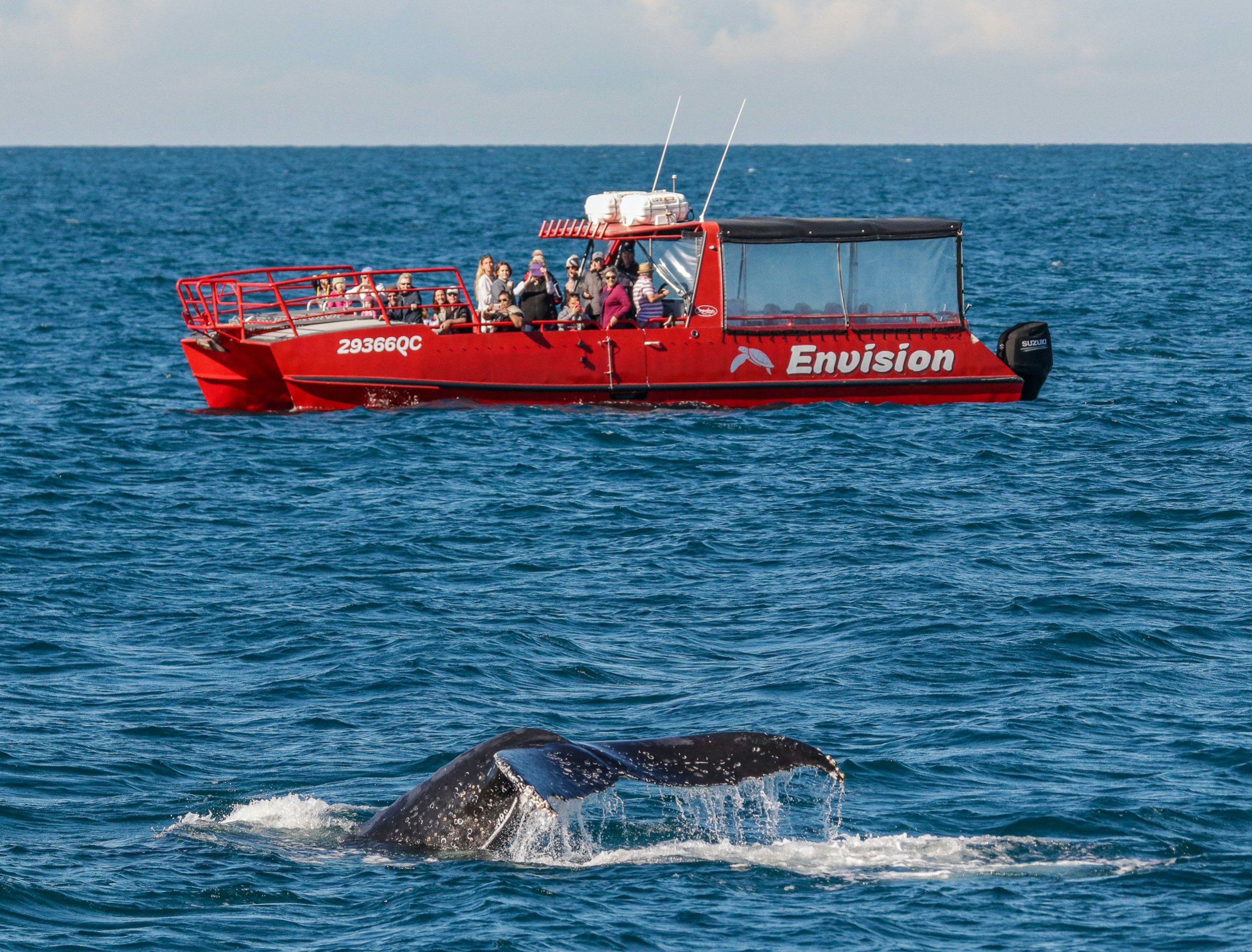 Port Stephens Whale Watching Express Cruise