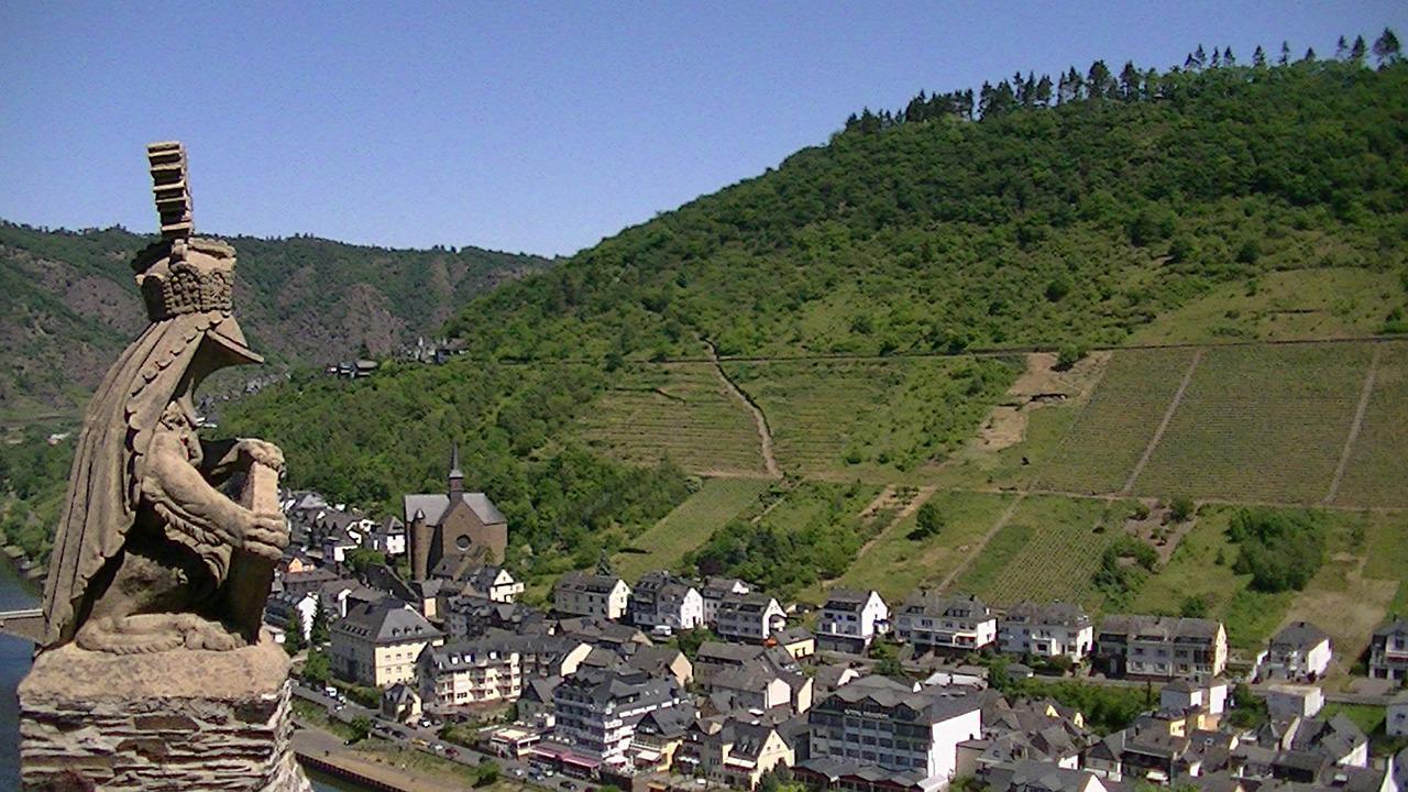 Private Walking Tour of Historic Cochem