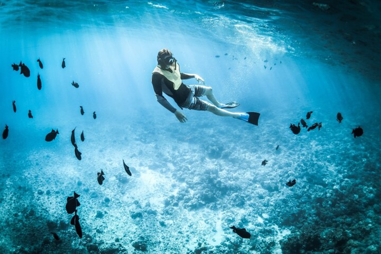 Muscat Dolphin Watching & Snorkeling with GoPro