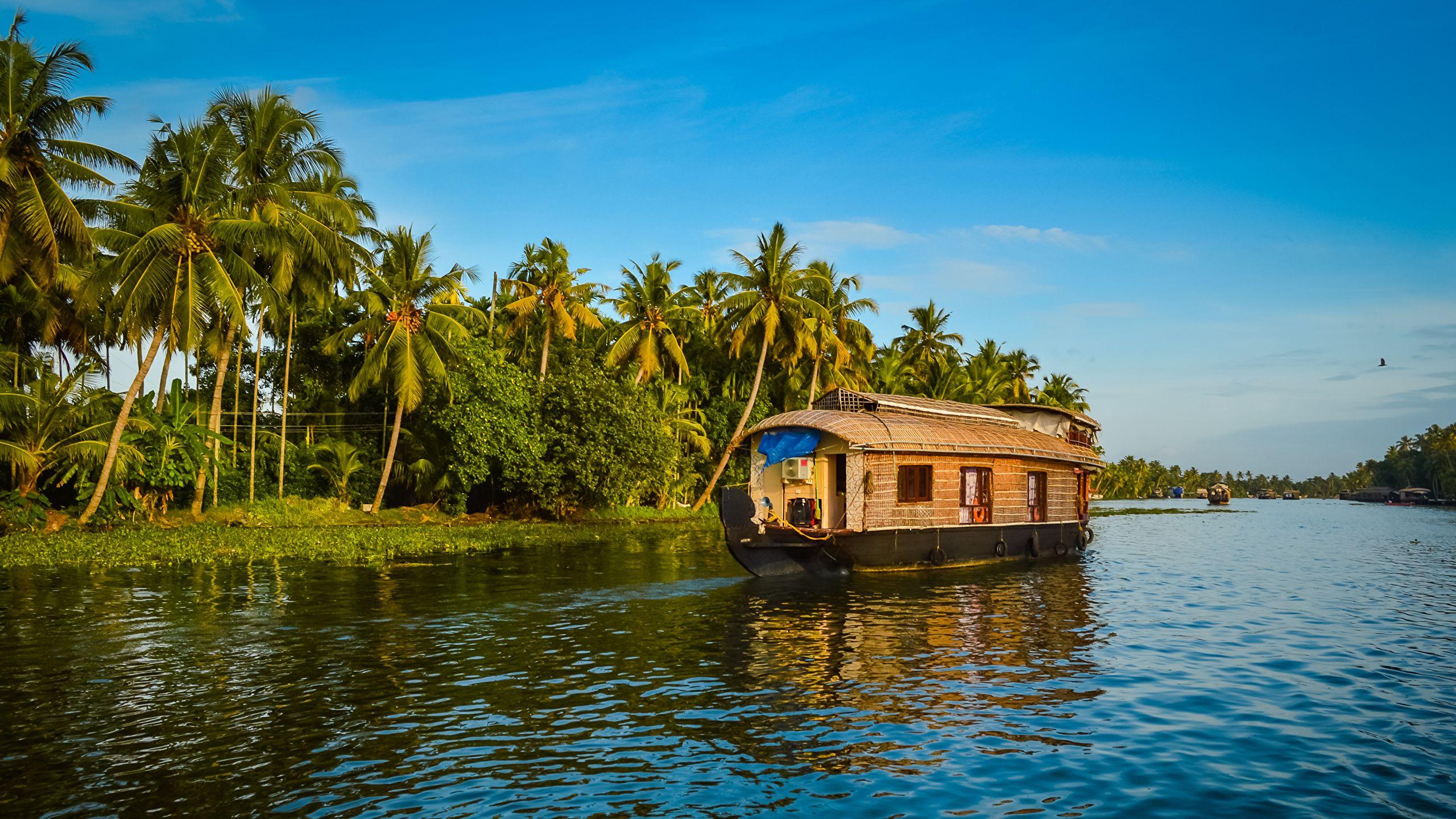Kochi Backwater Village Immersion with Traditional Sadya Lunch