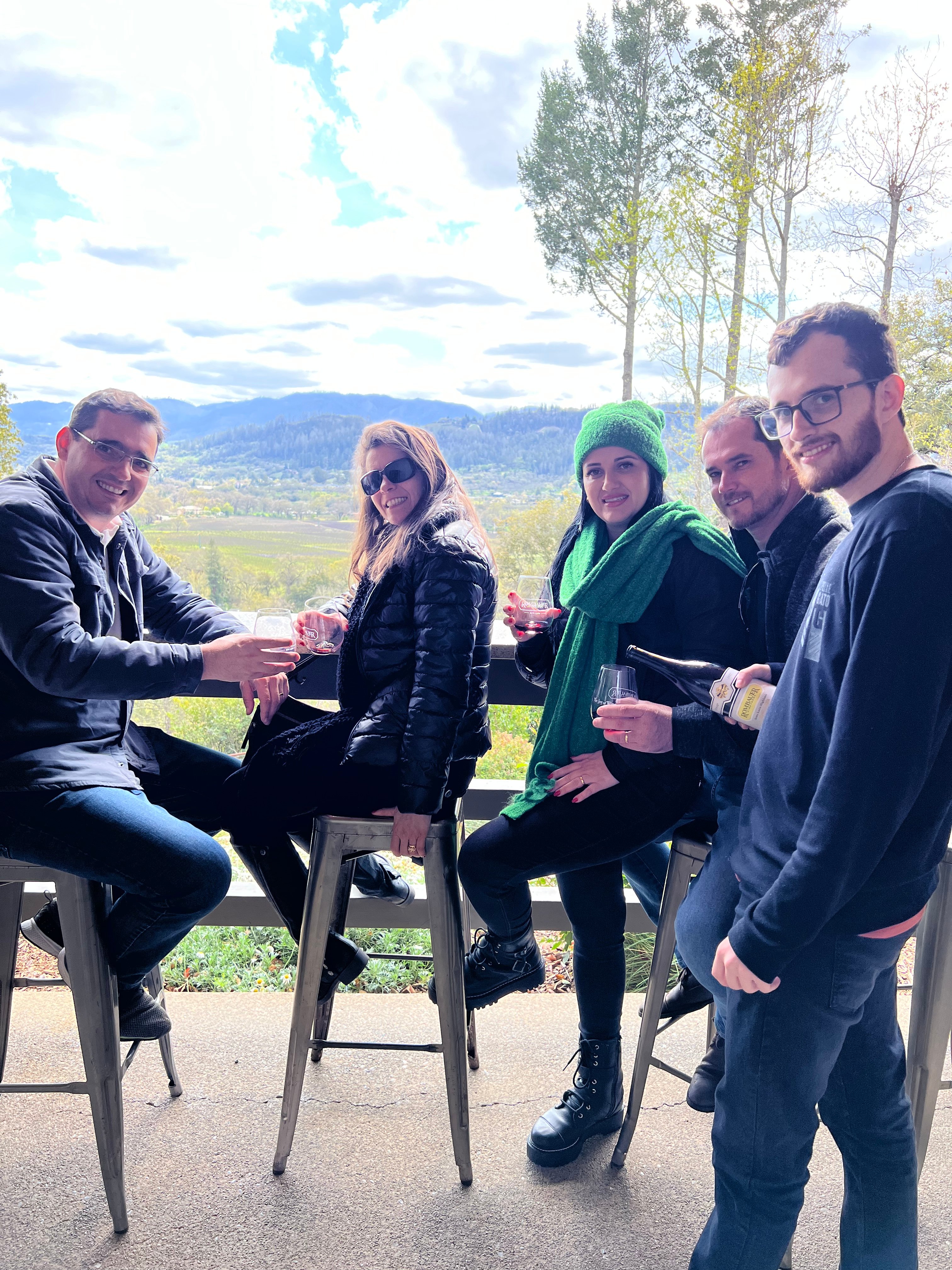 Napa Valley wine tour for couples — vineyards and tasting rooms — image 12