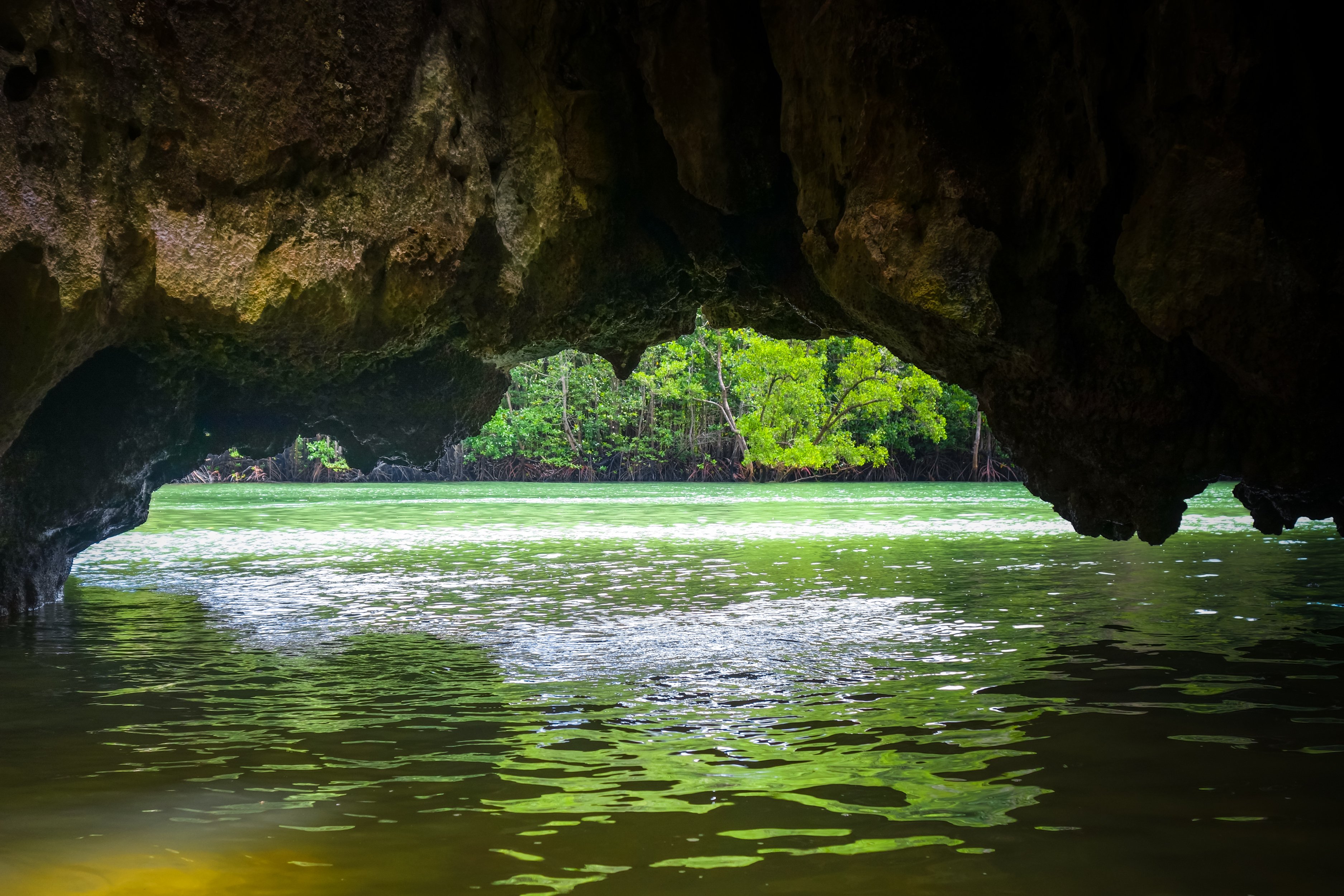 Khao Lak: Twilight Sea Canoe & Bioluminescent Plankton Night Tour