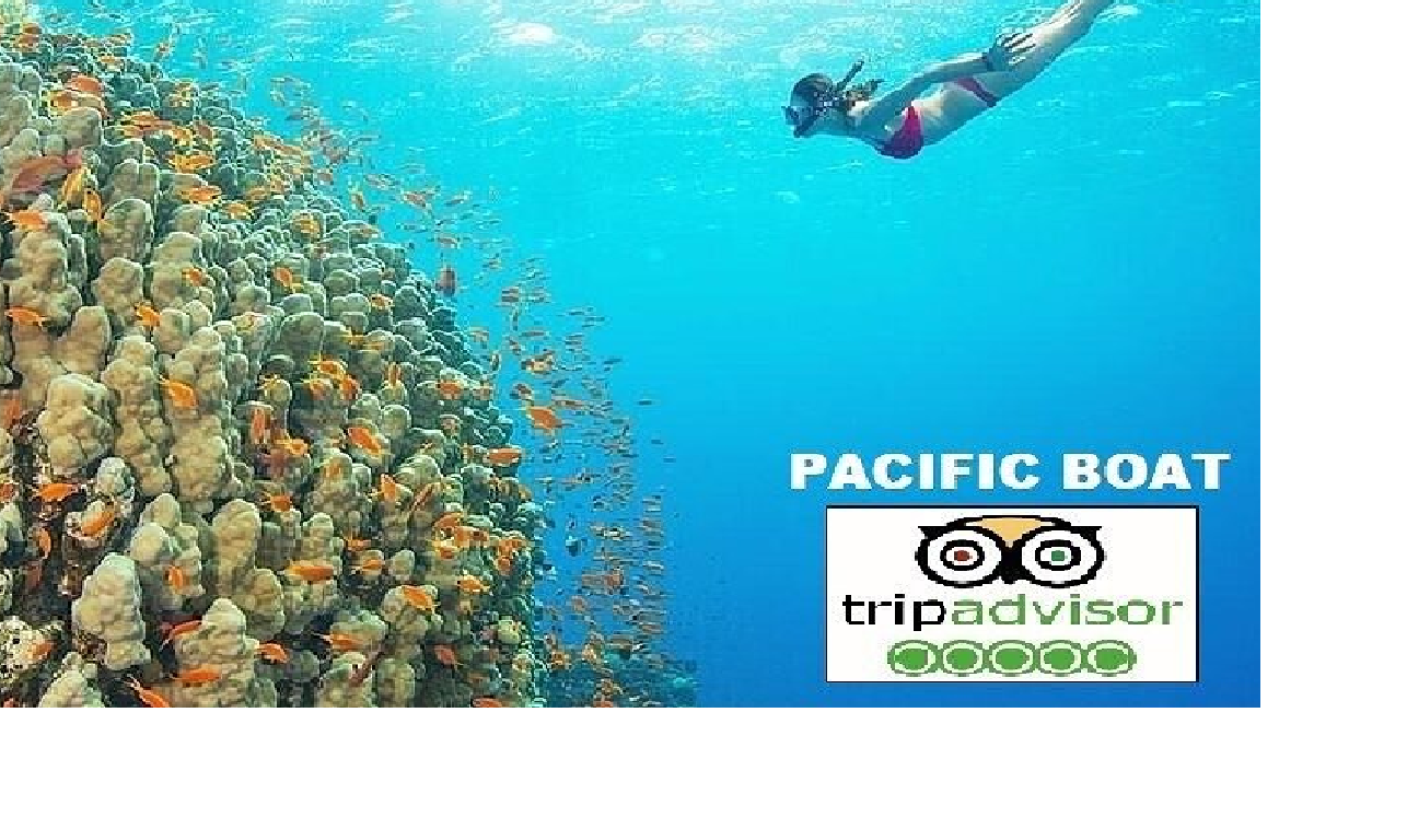 Cham Island Small-Group Speedboat Snorkeling Trip