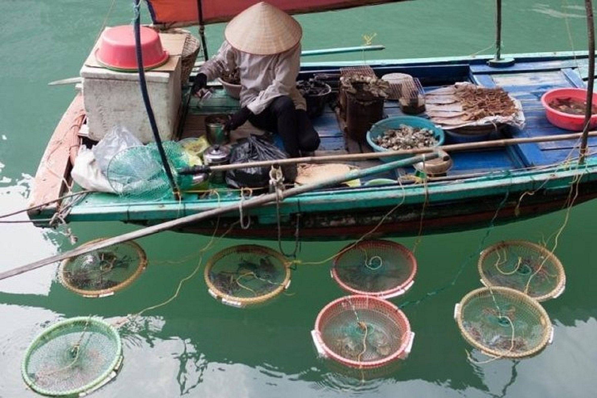2-Day Ninh Binh & Ha Long Bay Adventure from Hanoi