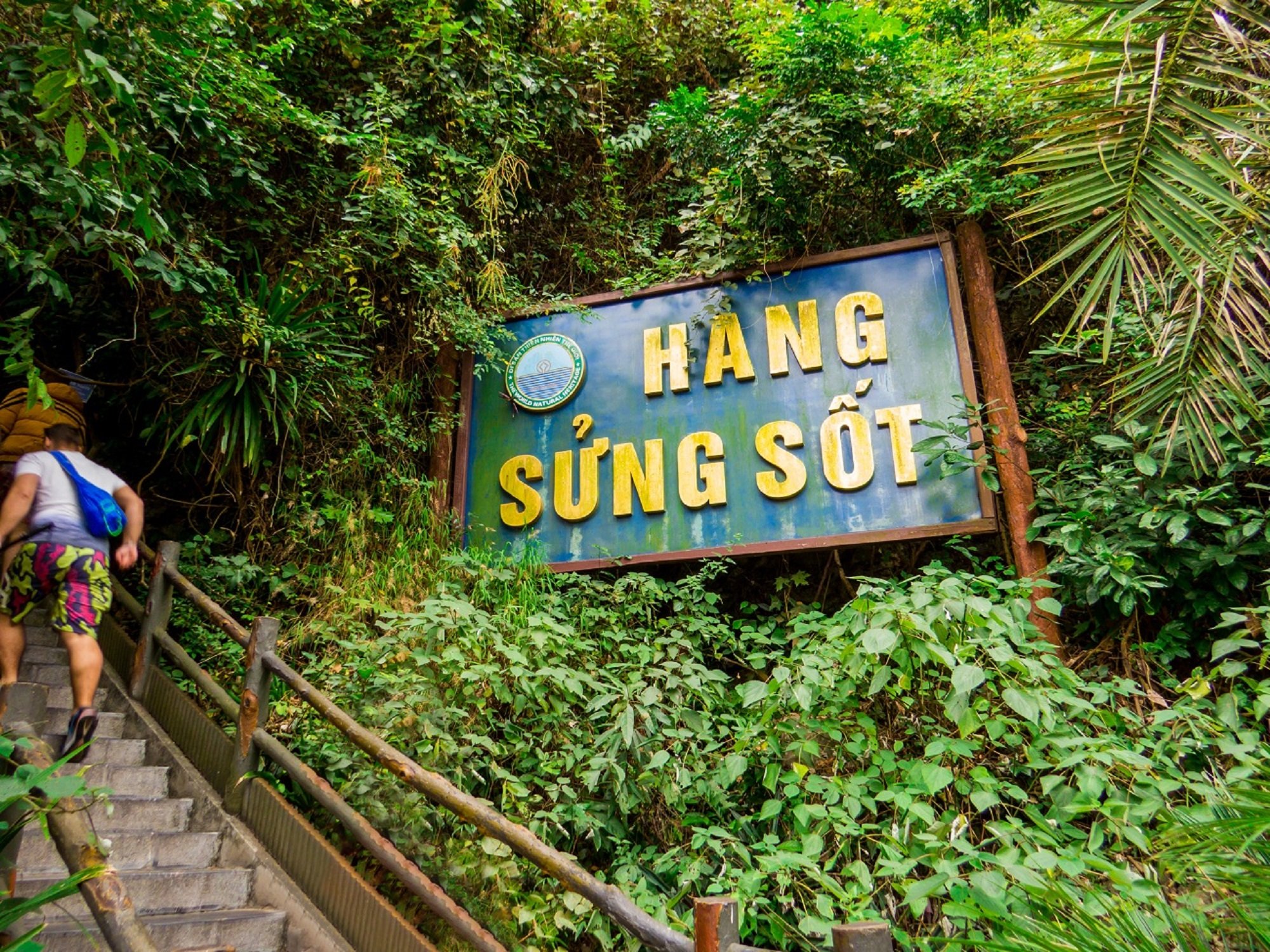 2-Day Ninh Binh & Ha Long Bay Adventure from Hanoi