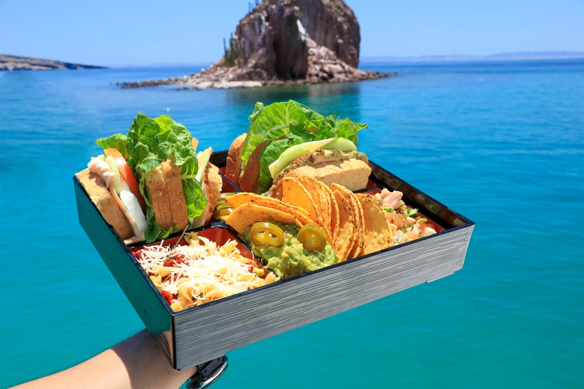 Cabo San Lucas: Luxury Catamaran Snorkel Tour with Lunch