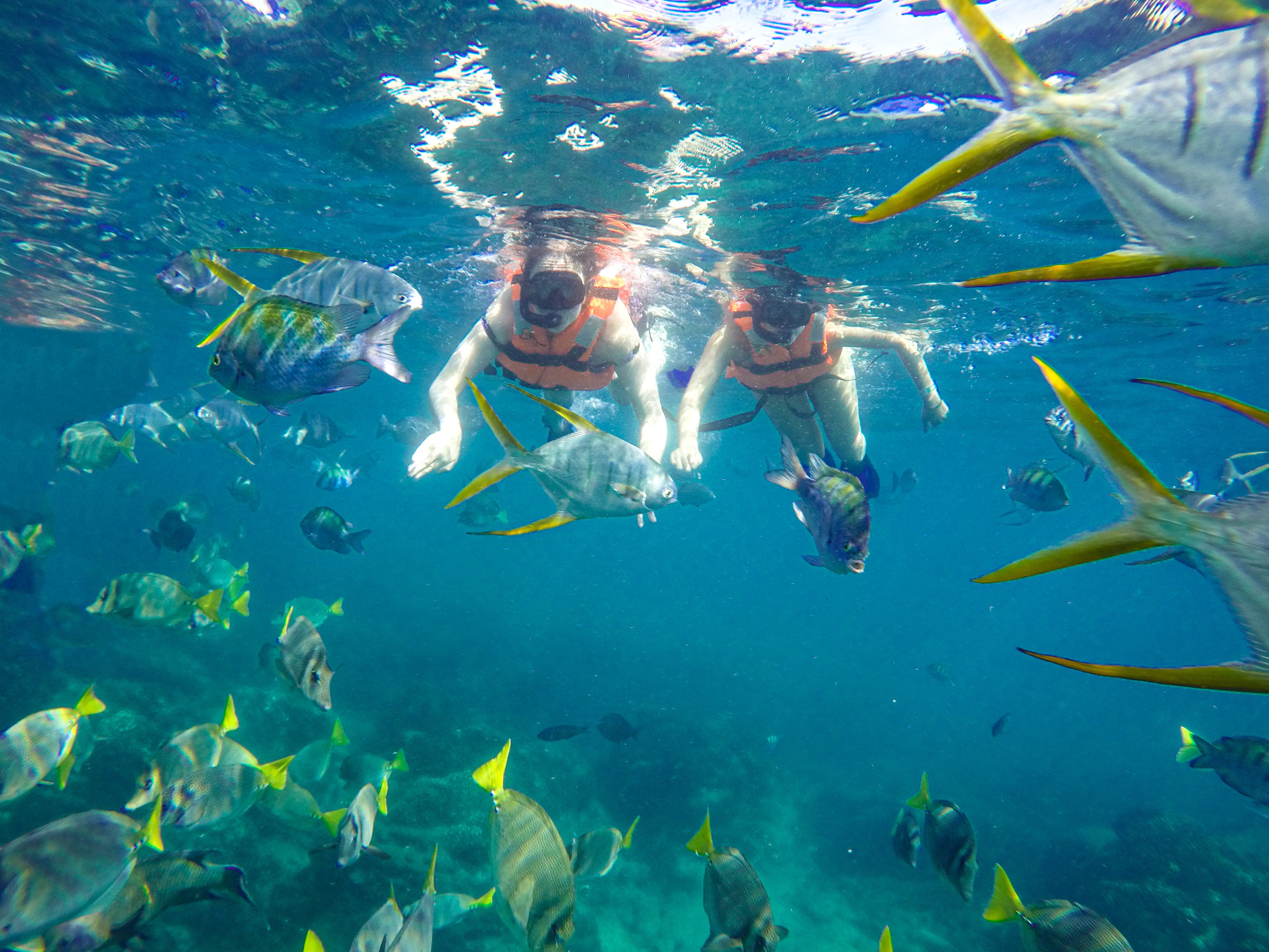 Cabo San Lucas: Luxury Catamaran Snorkel Tour with Lunch