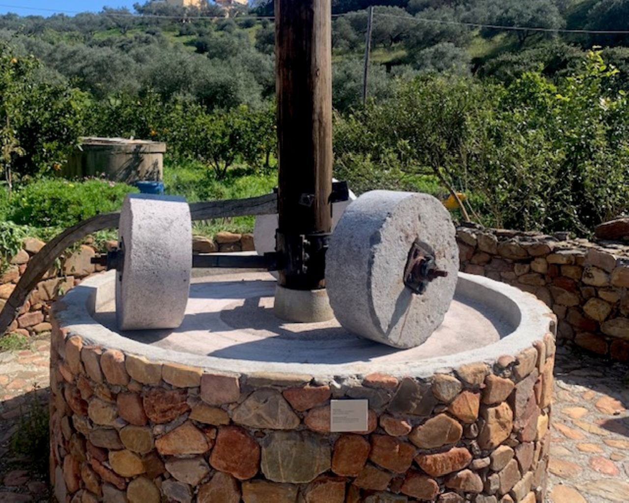 Olive Oil & Wine Discovery Tour from Platanias